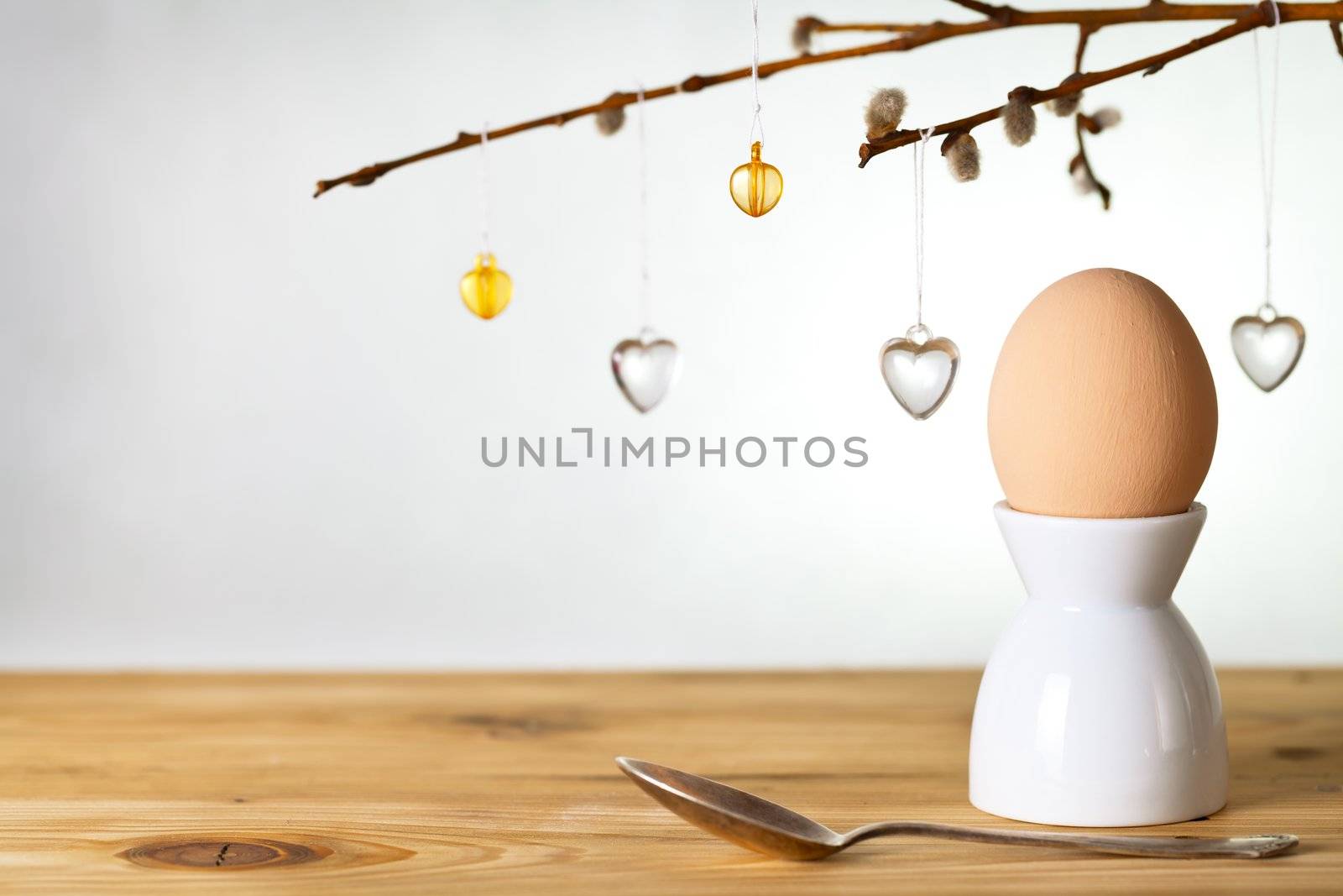 Easter composition with egg and ament on wooden background. Egg painted a beige paint