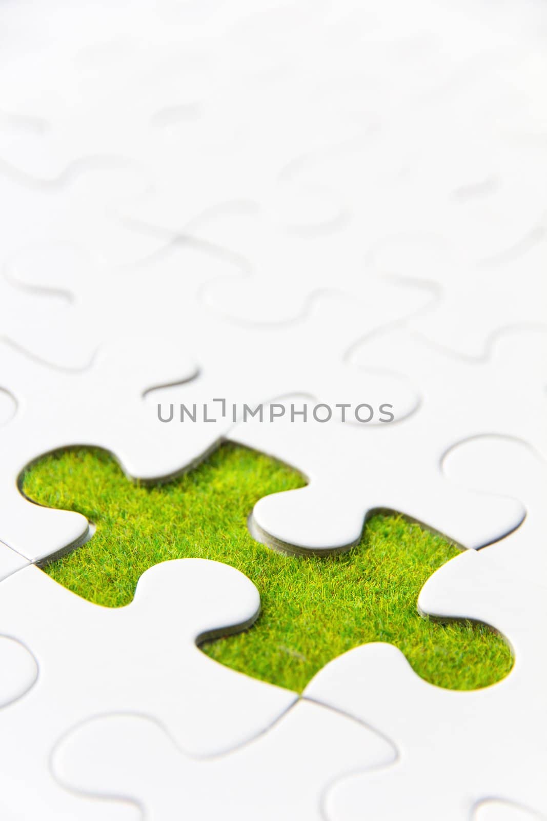 missing puzzle piece, green space concept
