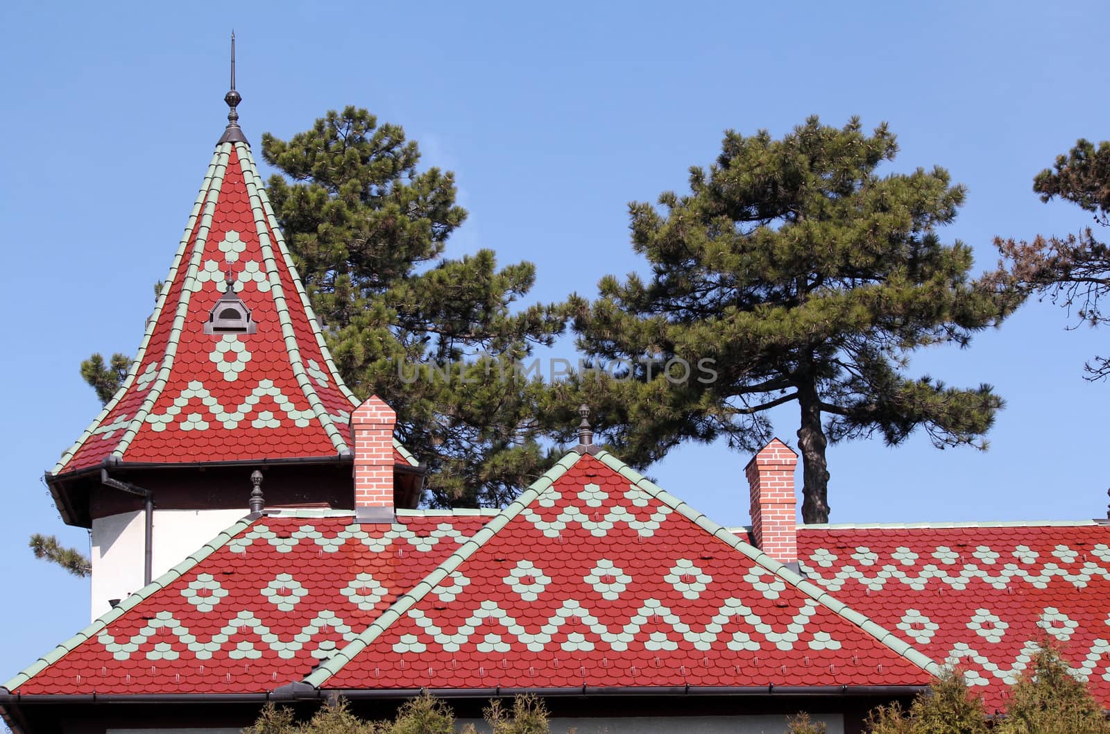 castle colorful tiles roof architecture detail