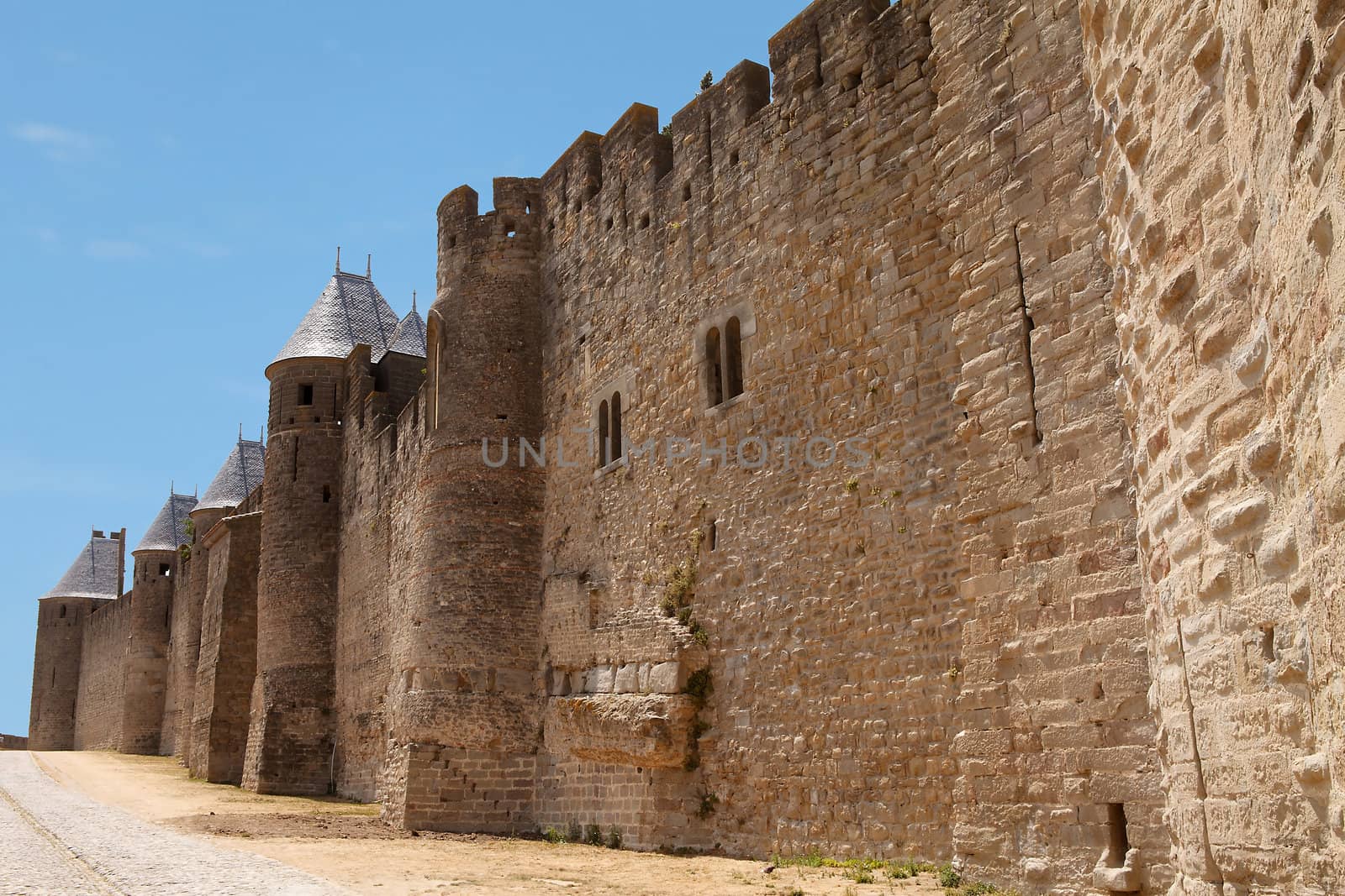 Castle of Carcasonne in France