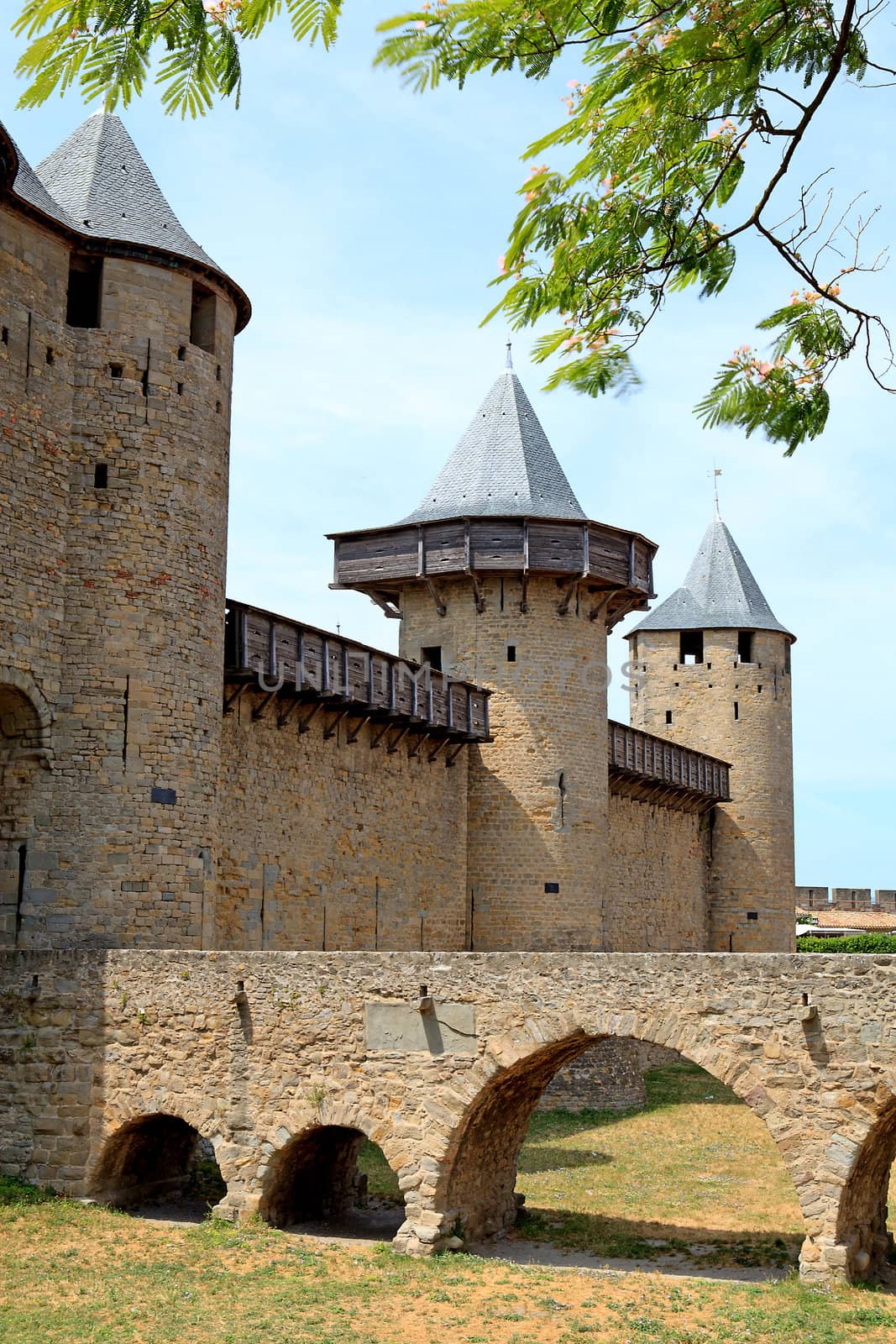 Castle of Carcasonne in France