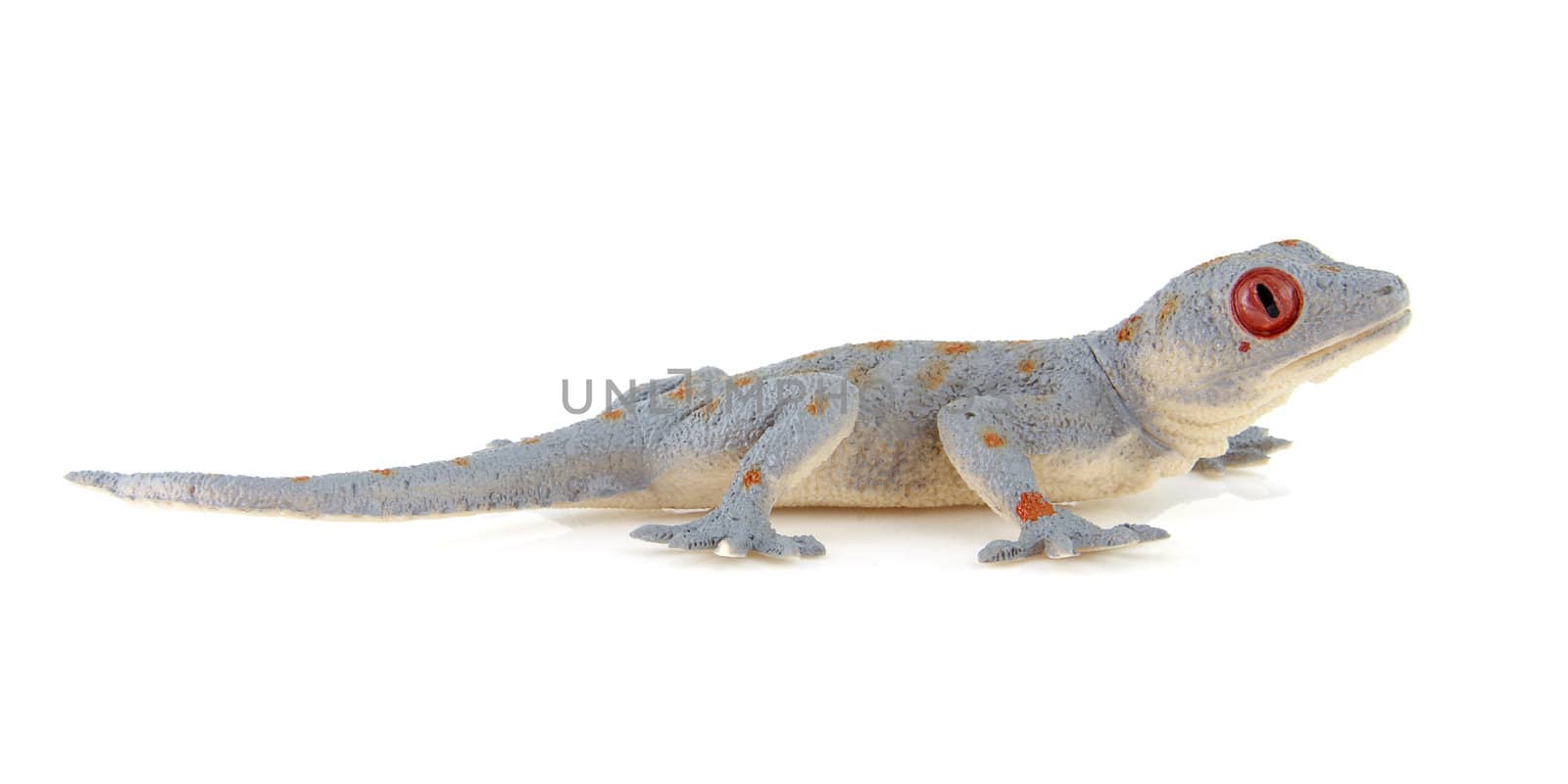 plastic salamander toy isolated on white background