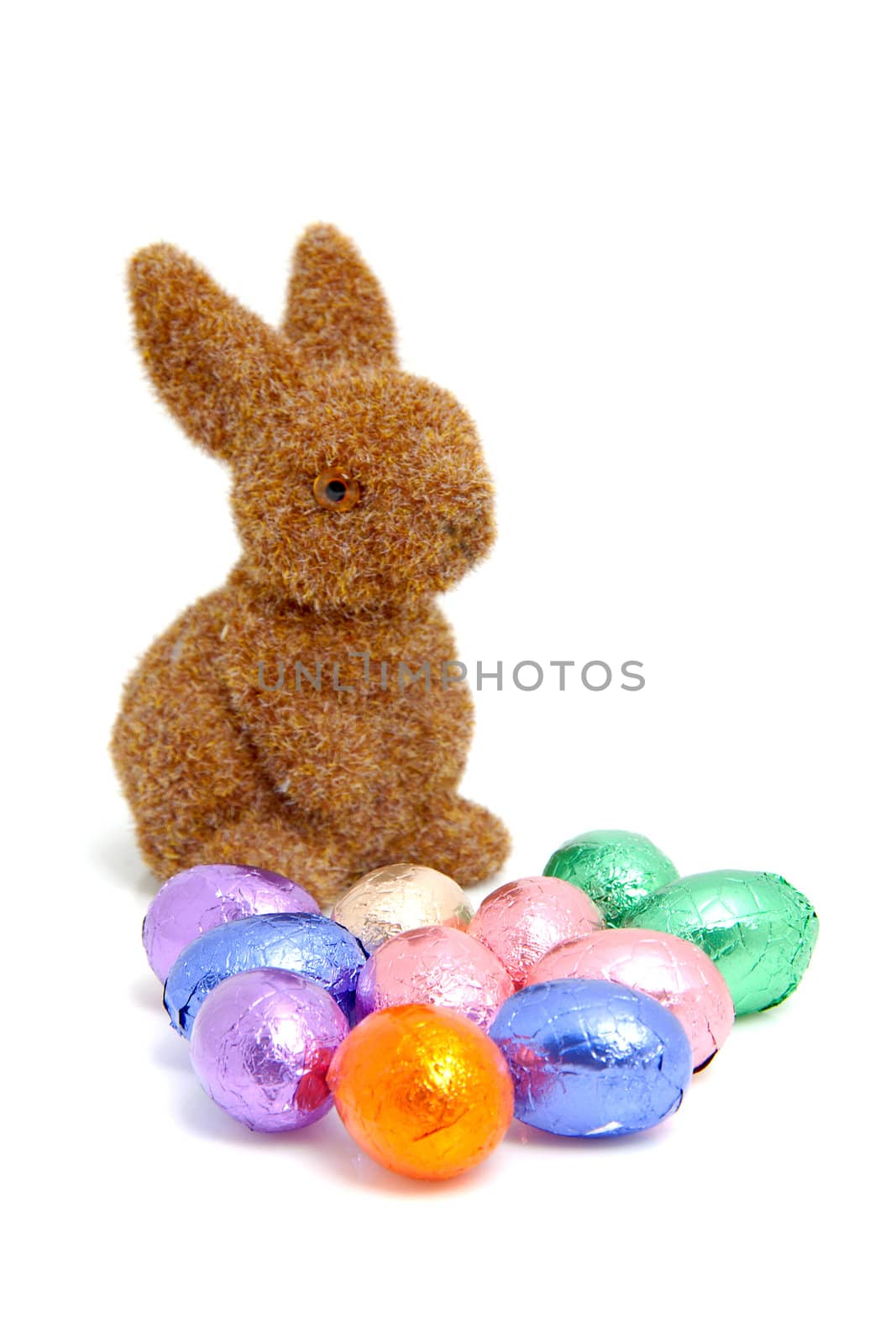 Brown bunny and easter eggs over white background