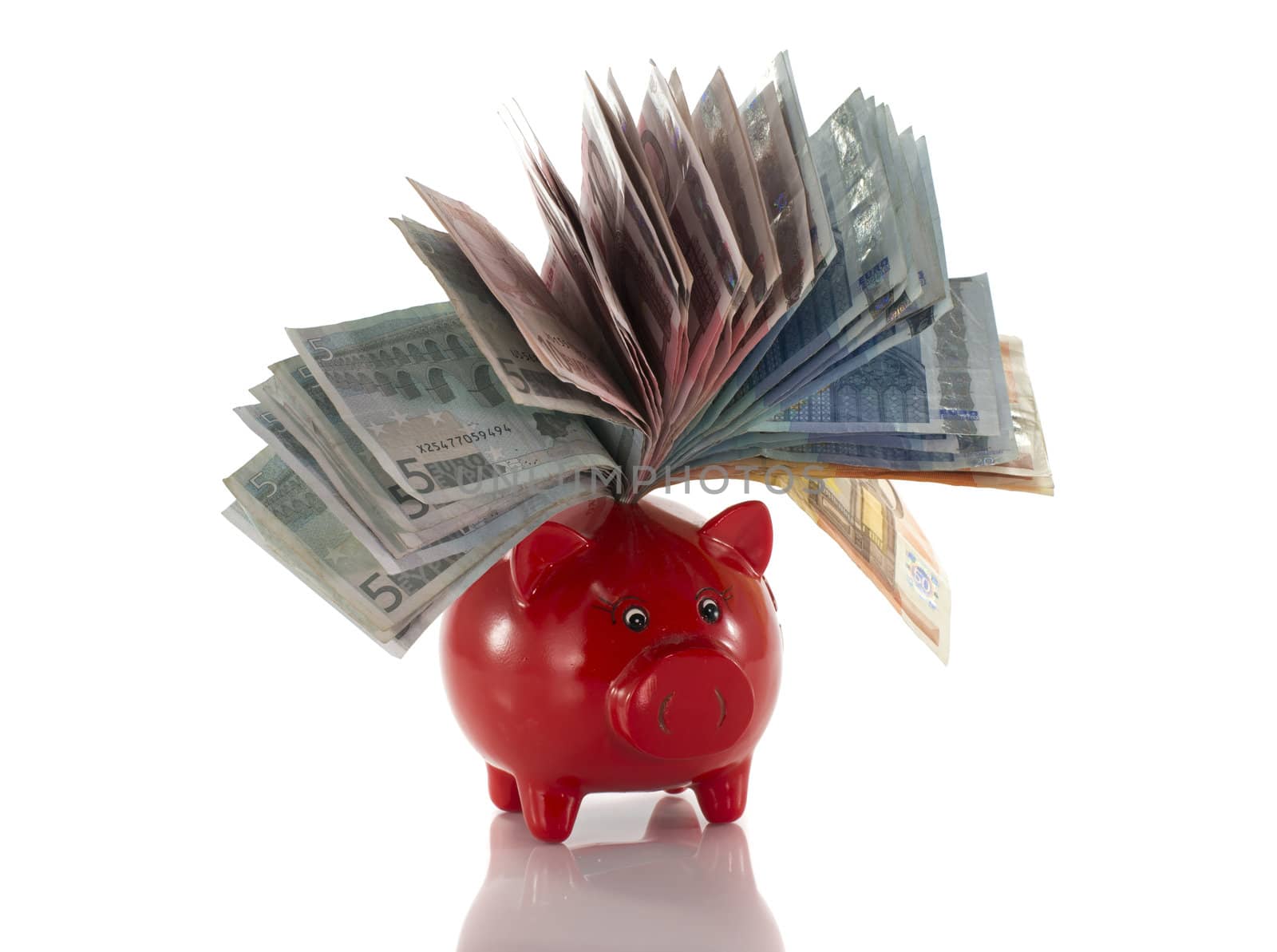 money pig with euro paper isolated on white