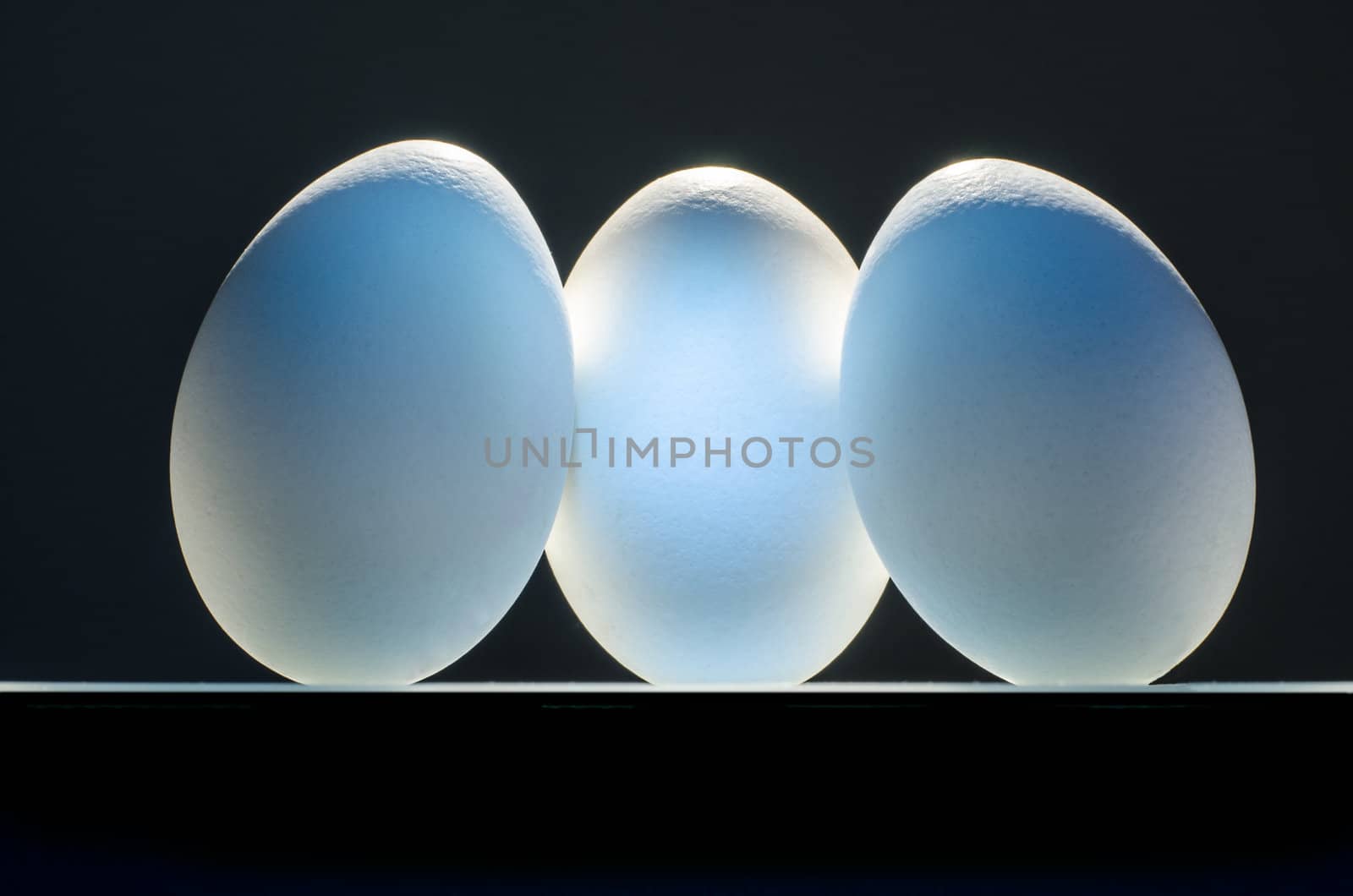 Symbolic three eggs in conservation