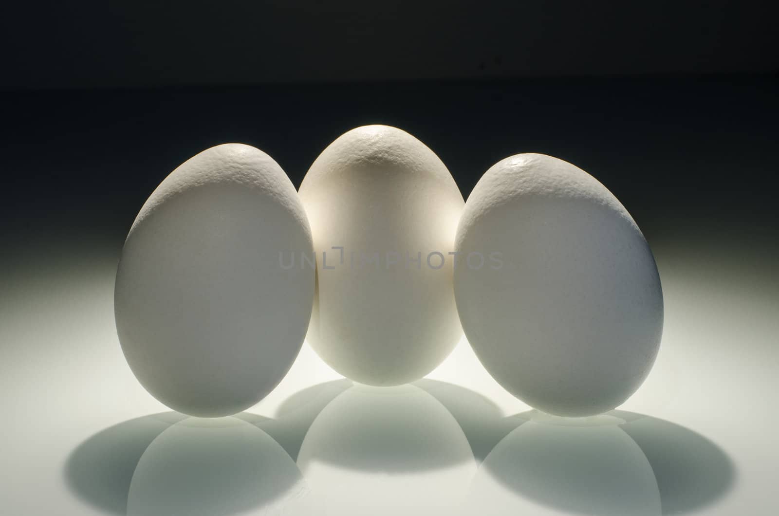 Symbolic three eggs in conservation