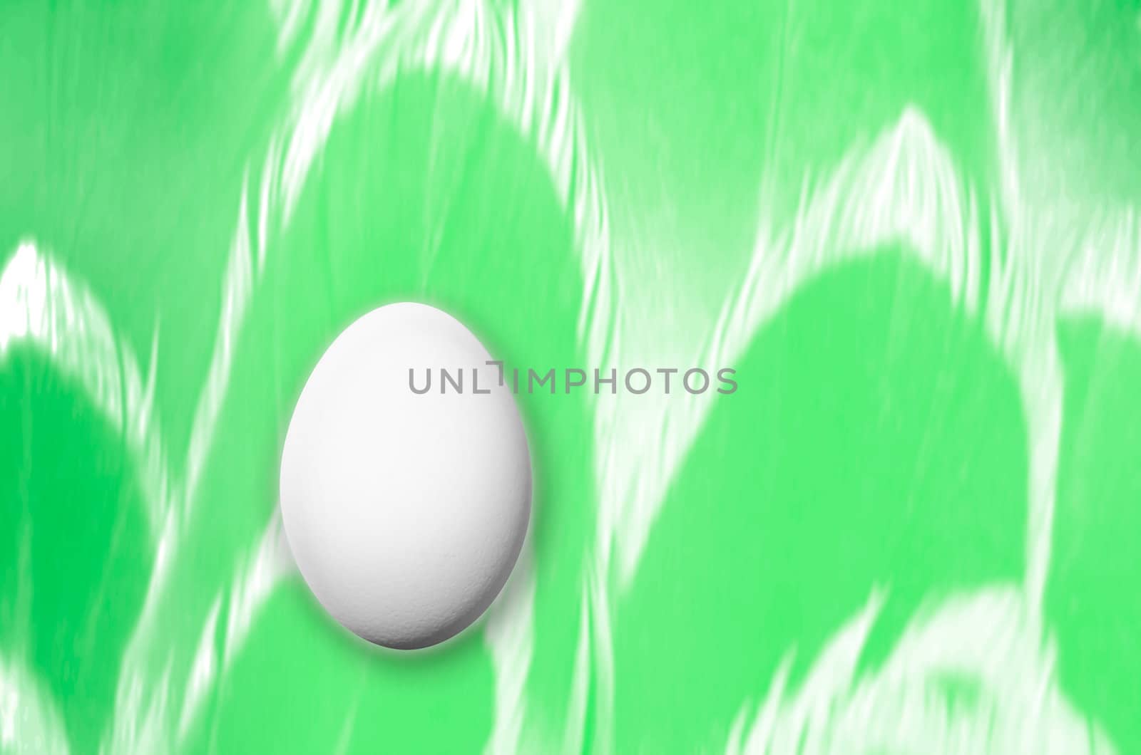 Composing of feather background with white egg