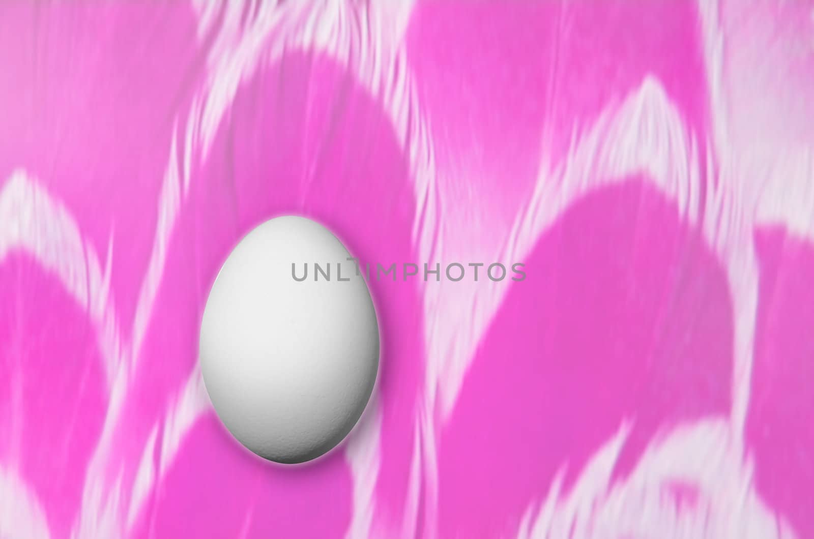 Composing of feather background with white egg