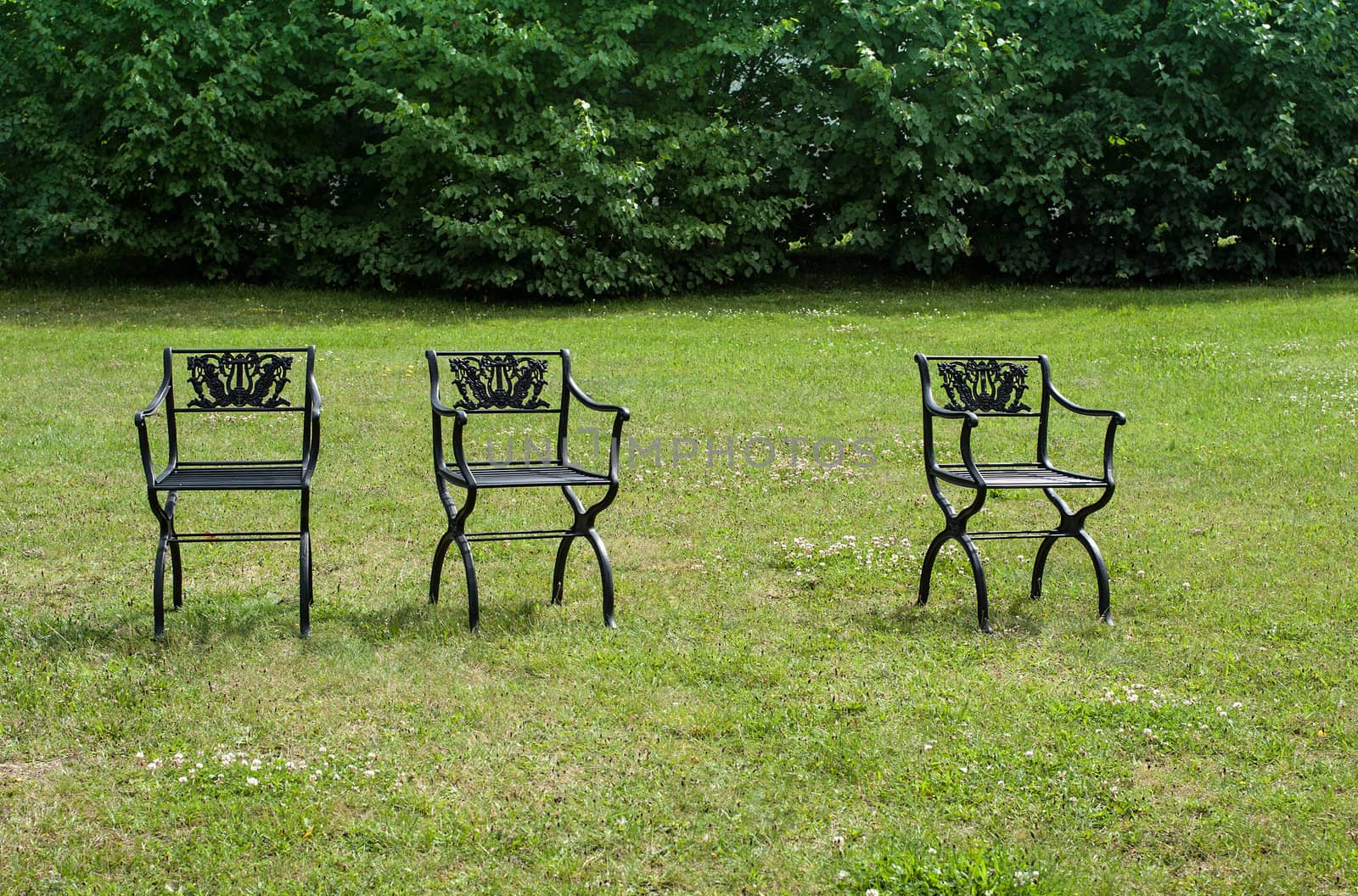 Three chairs arrangement on lawn