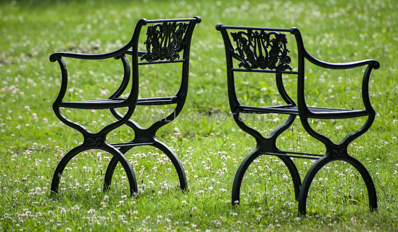 Two chairs arrangement on lawn