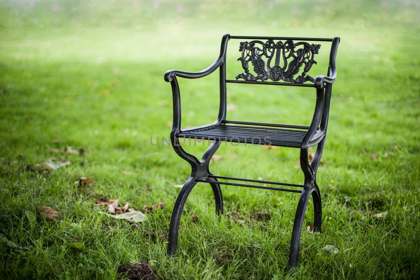 One single chair on lawn