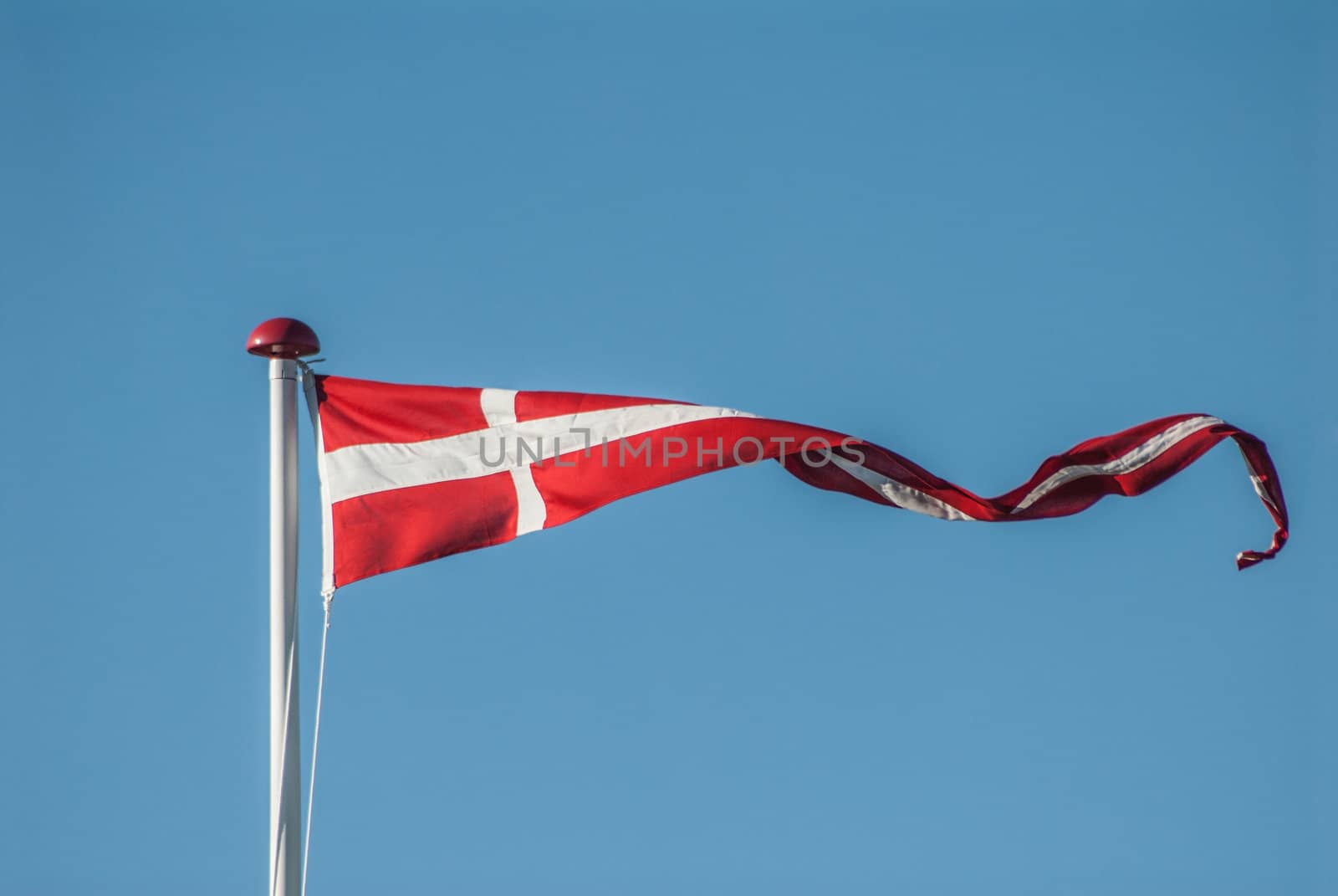 Danish flag in strong wing