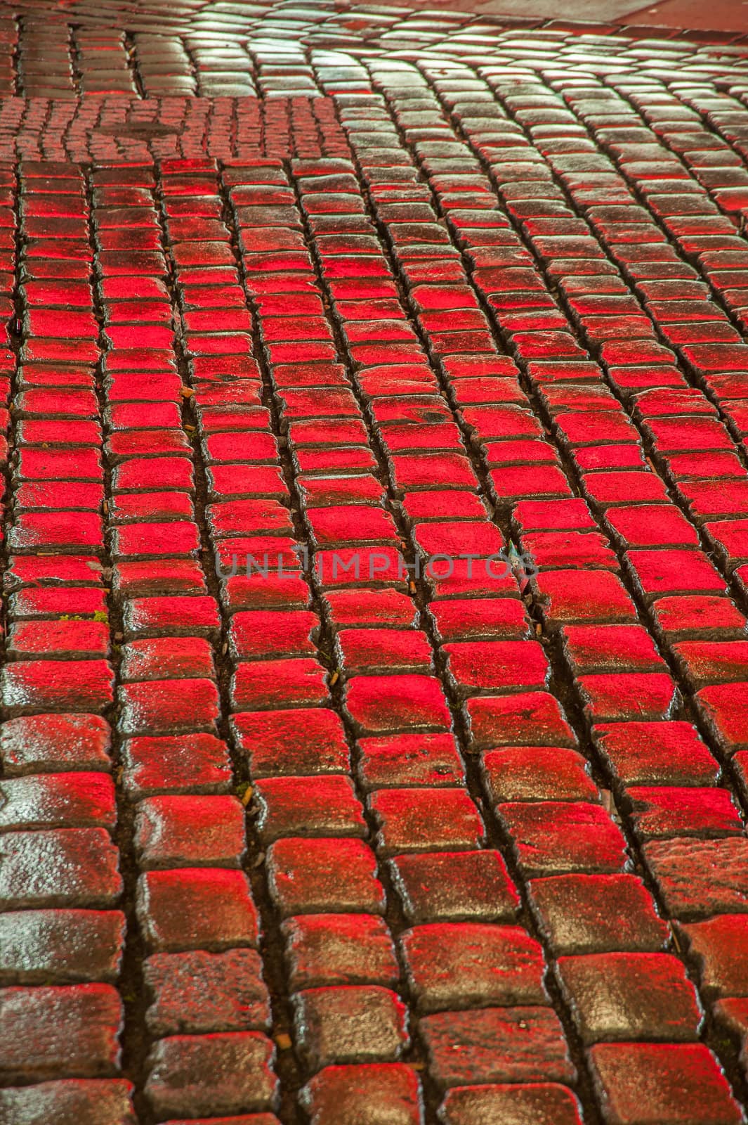 reflection of the night lights on cobble stone pavement