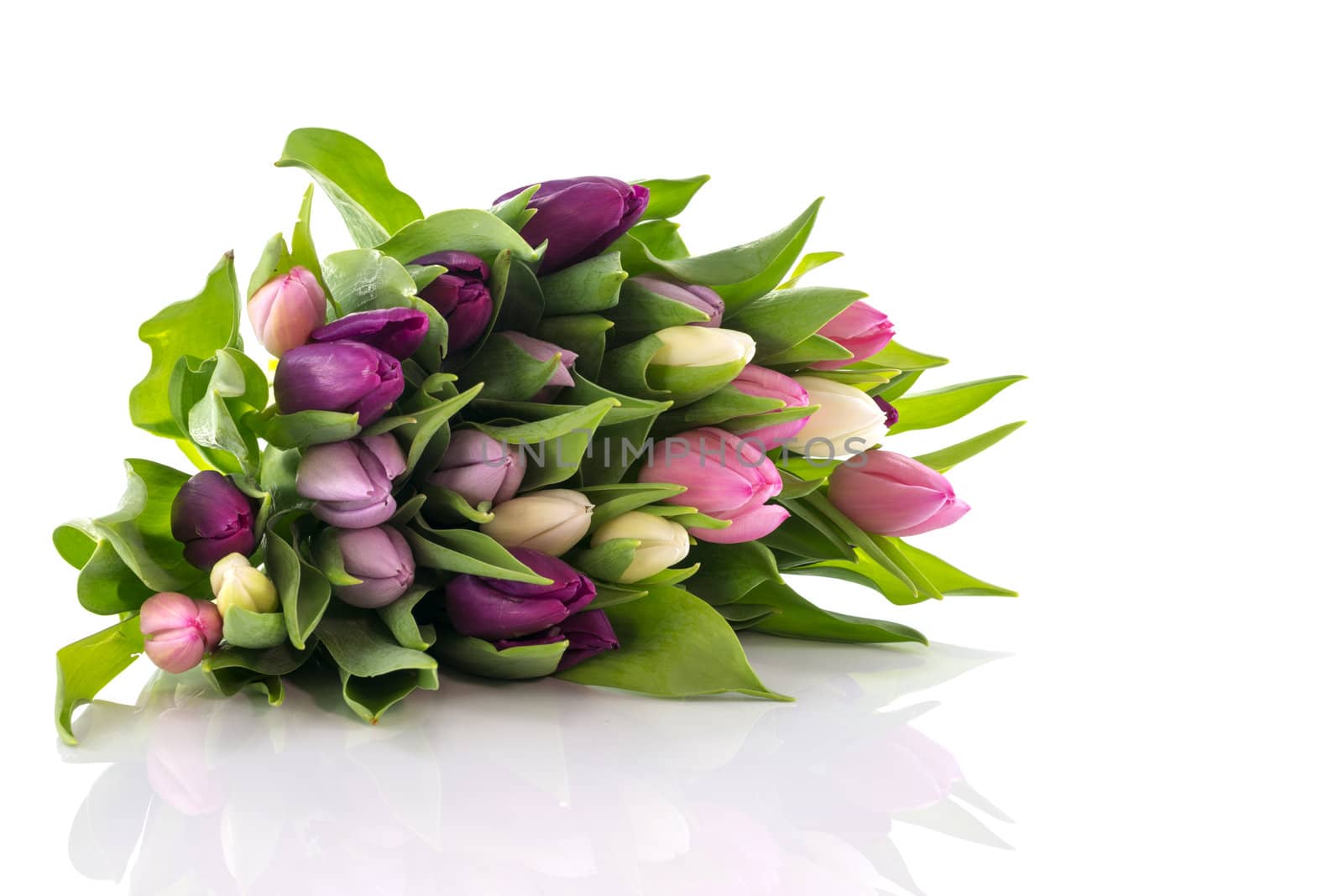 pink and yellow flowers on white background