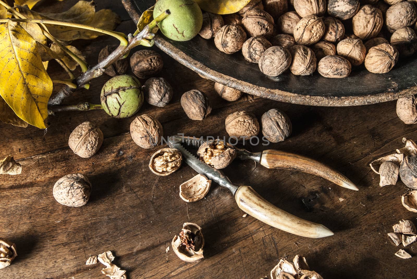 Walnuts with nut shells