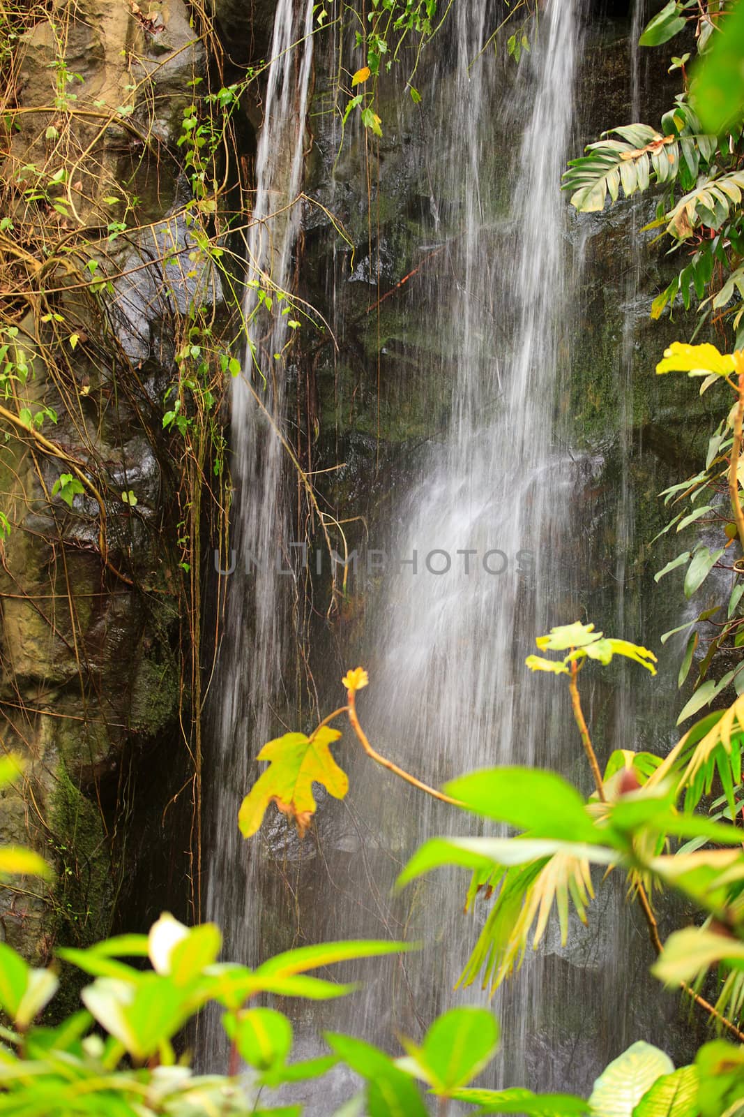closeup of a beautiful waterfall with plants in the front