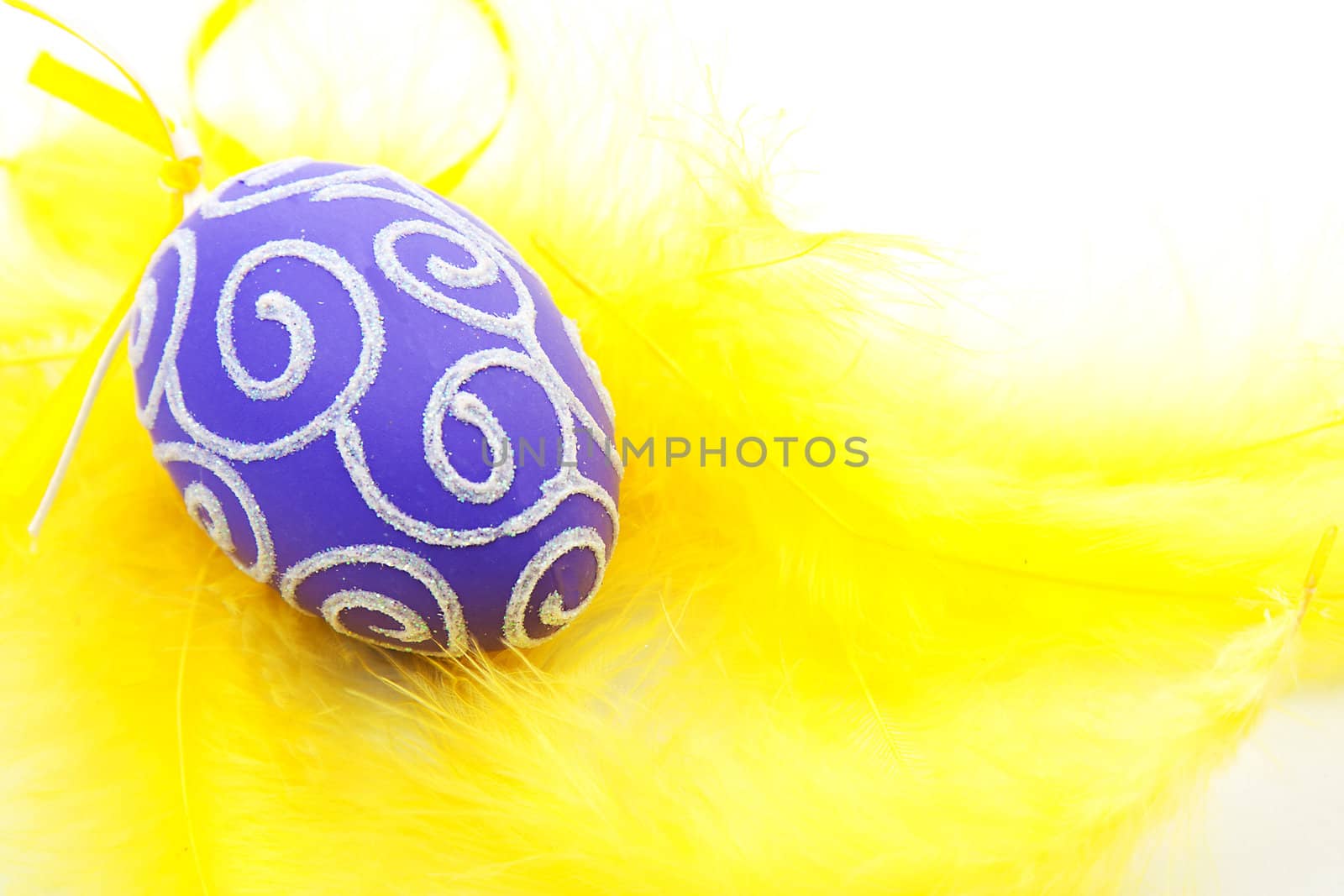 purple easter egg on yellow feathers in closeup