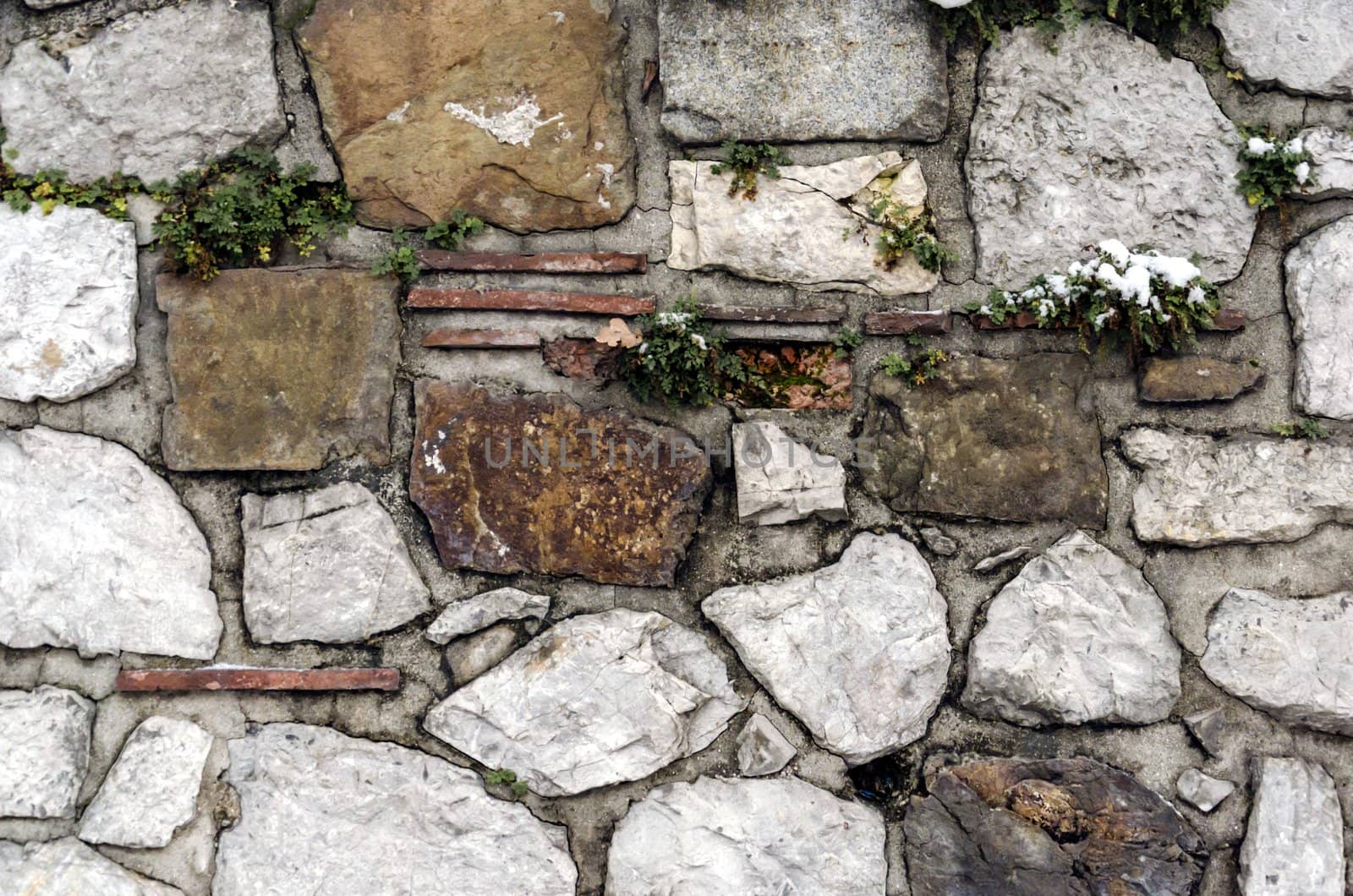 Texture of old stone brick wall with plants.