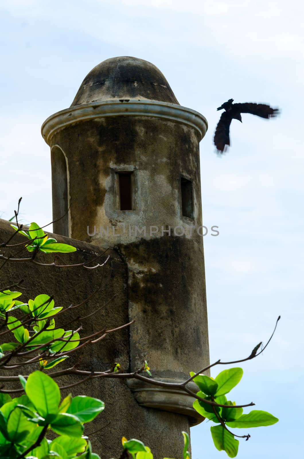 Old militarytower with gun slots above fort wall with flying bird and green branch on front