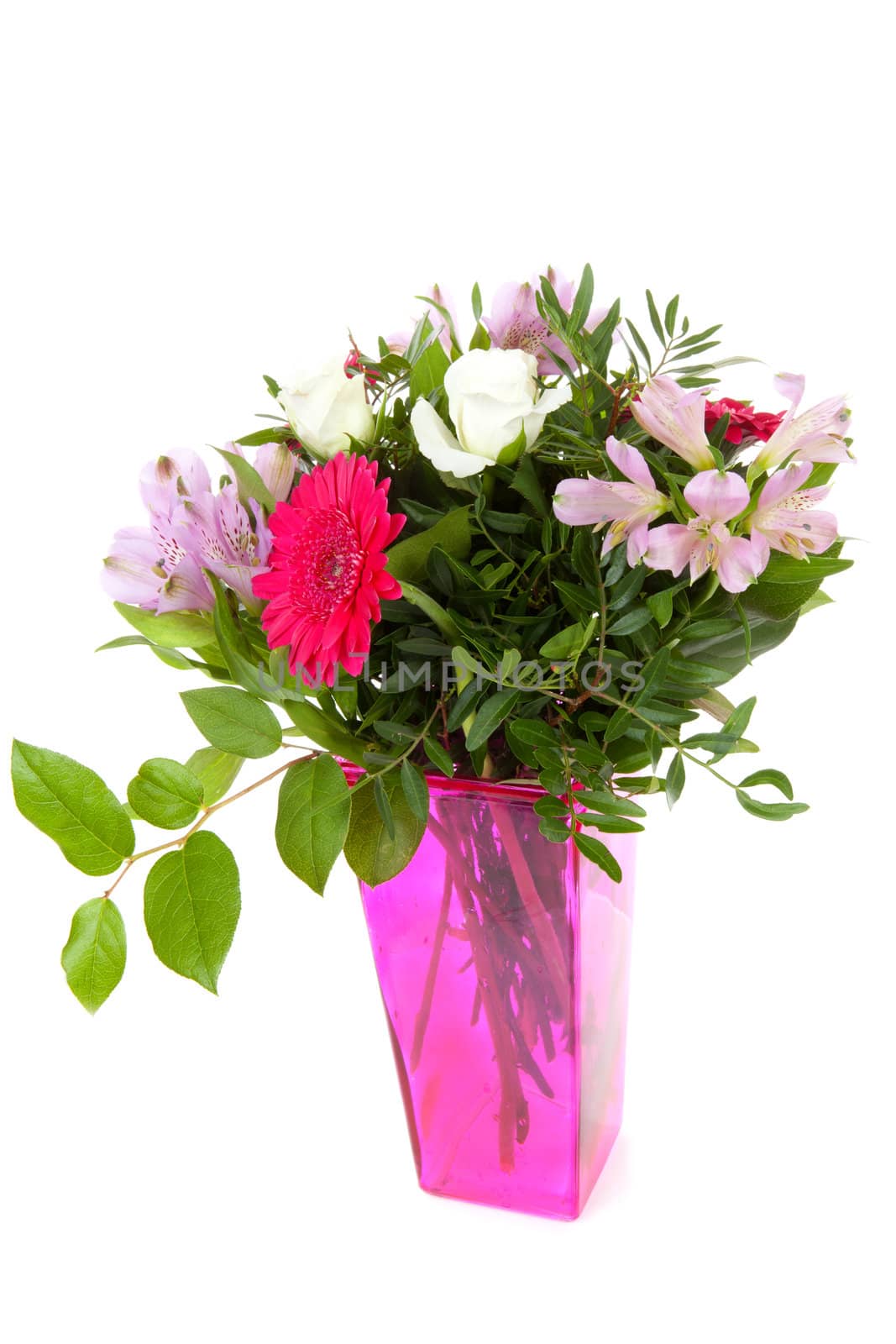 Bouquet of purple and pink flowers over white background