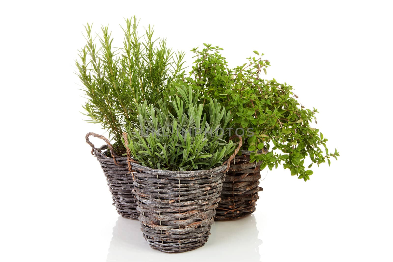 Three fresh spices in cane buckets over white background