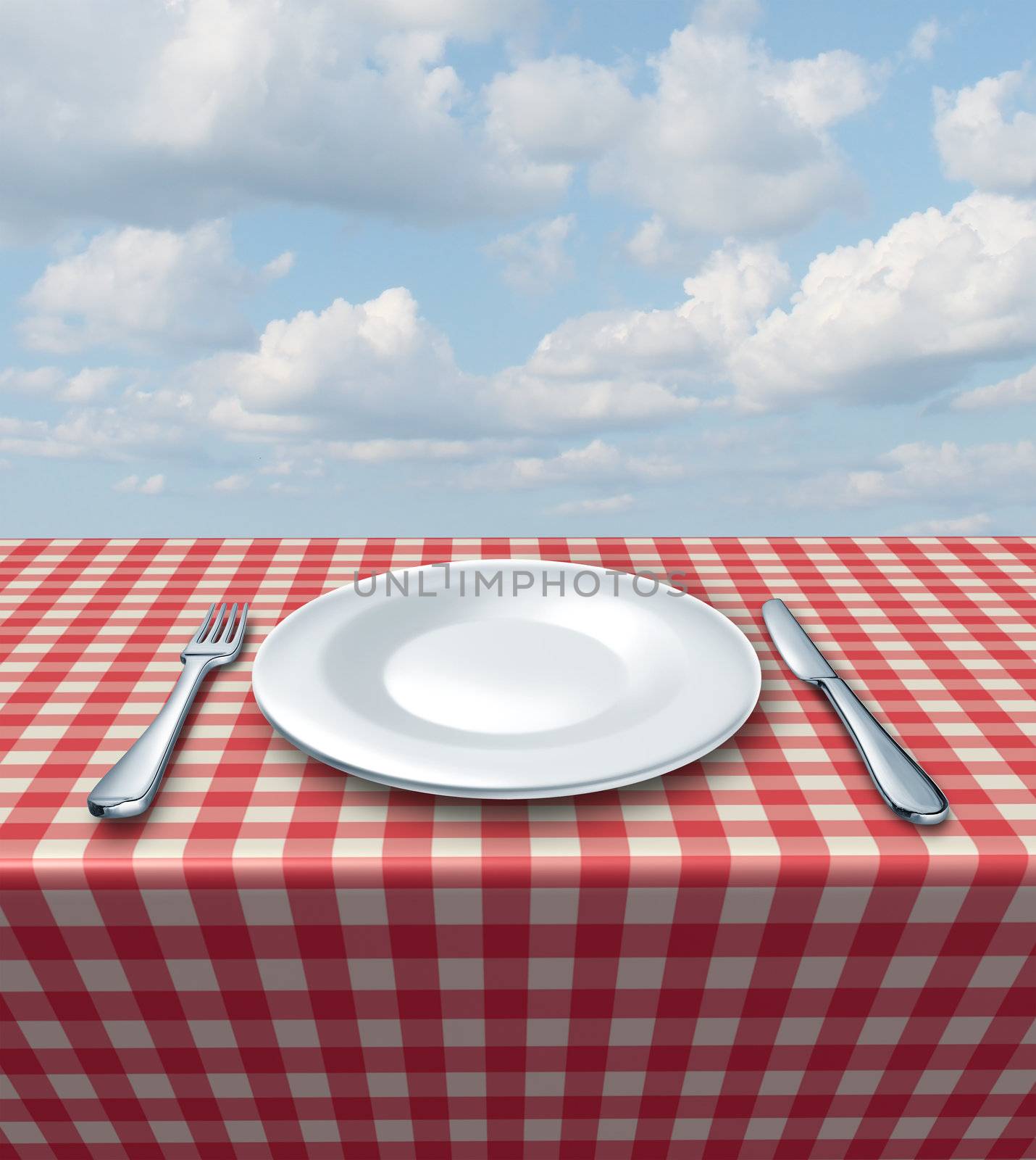 Place setting with a fork knife and white empty plate on a checkered red and white tablecloth on a summer blue sky as a food service and classic restaurant symbol and picnic dining.