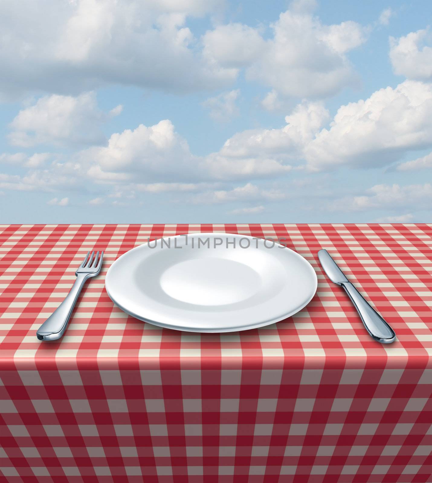 Place setting with a fork knife and white empty plate on a checkered red and white tablecloth on a summer blue sky as a food service and classic restaurant symbol and picnic dining.