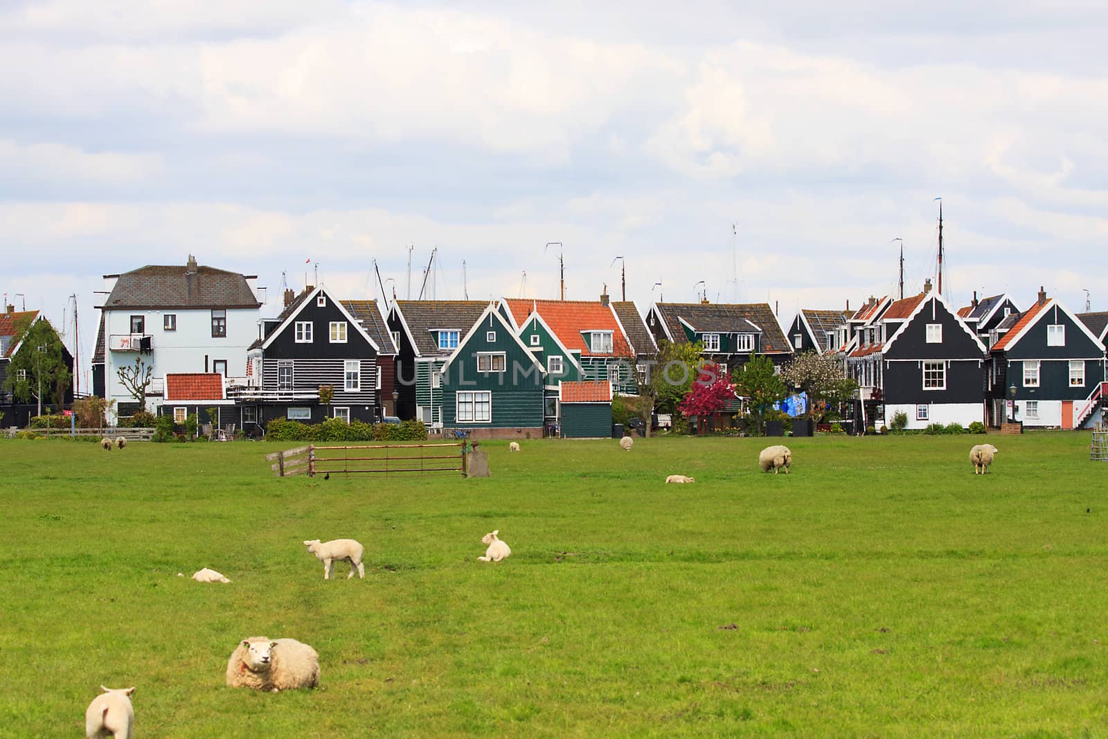 view over typical Dutch houses in the village Marken