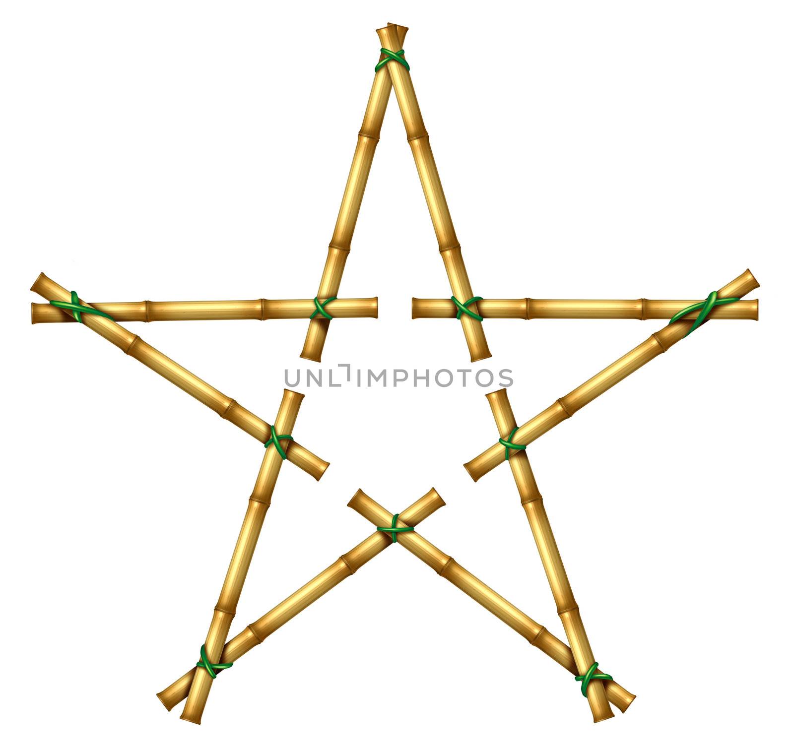 Bamboo Star by brightsource