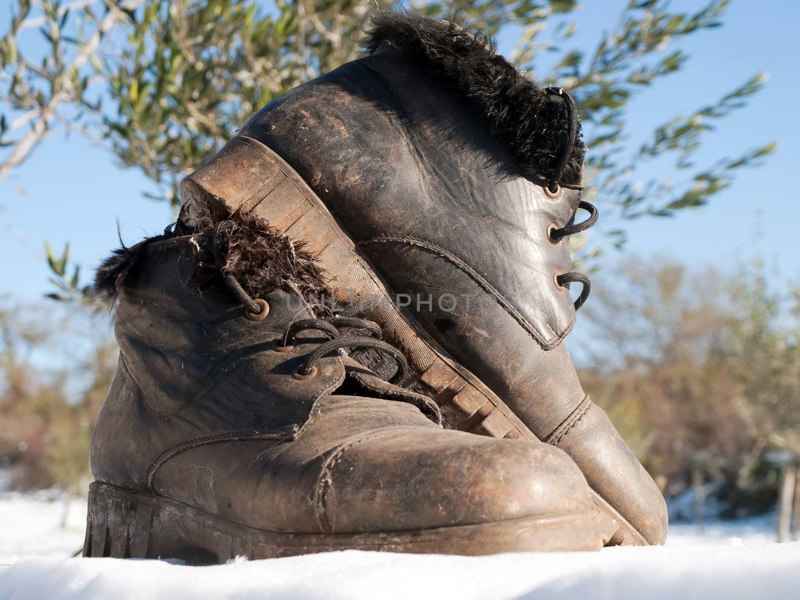 old woman's shoes on the snow