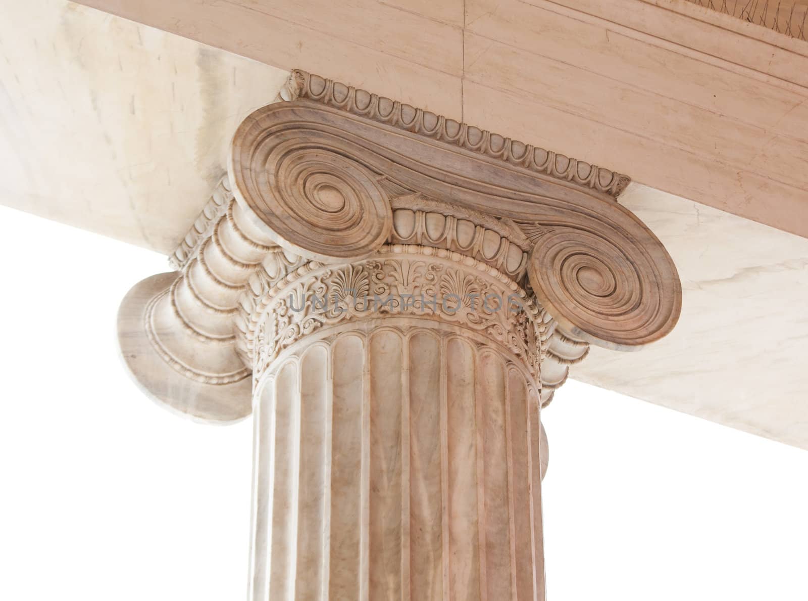 Capital of Greek neoclassical ionic column by Brigida_Soriano