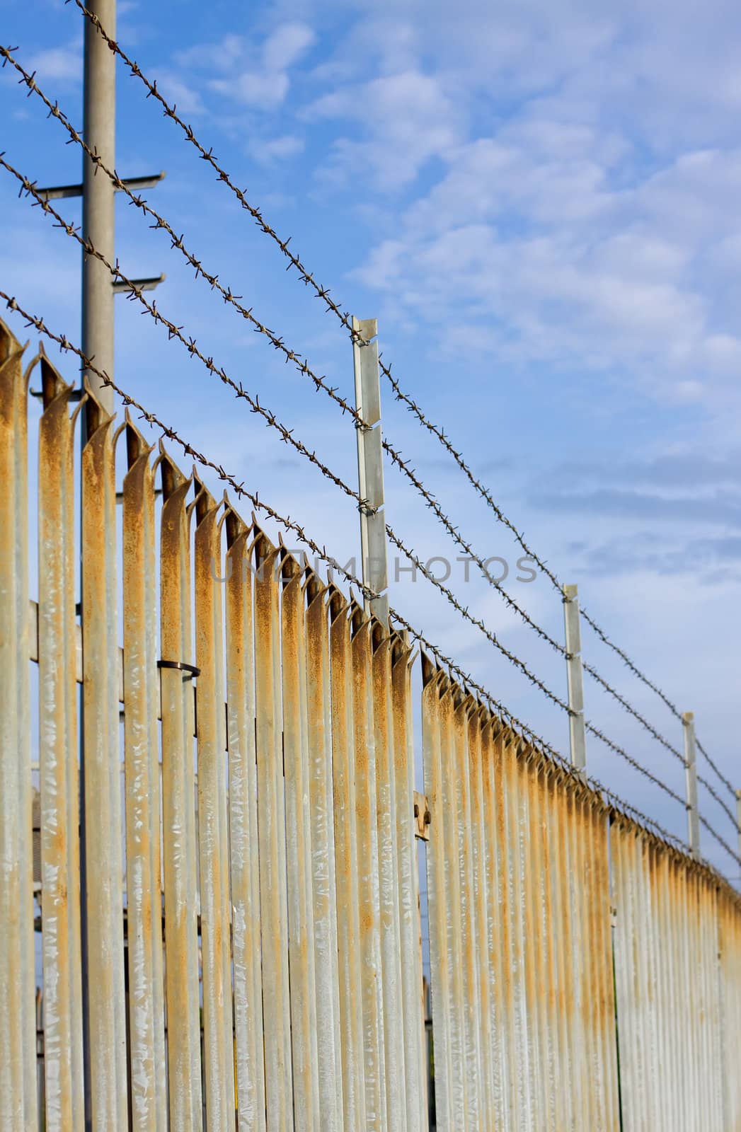 barbed wire and a sharp fence