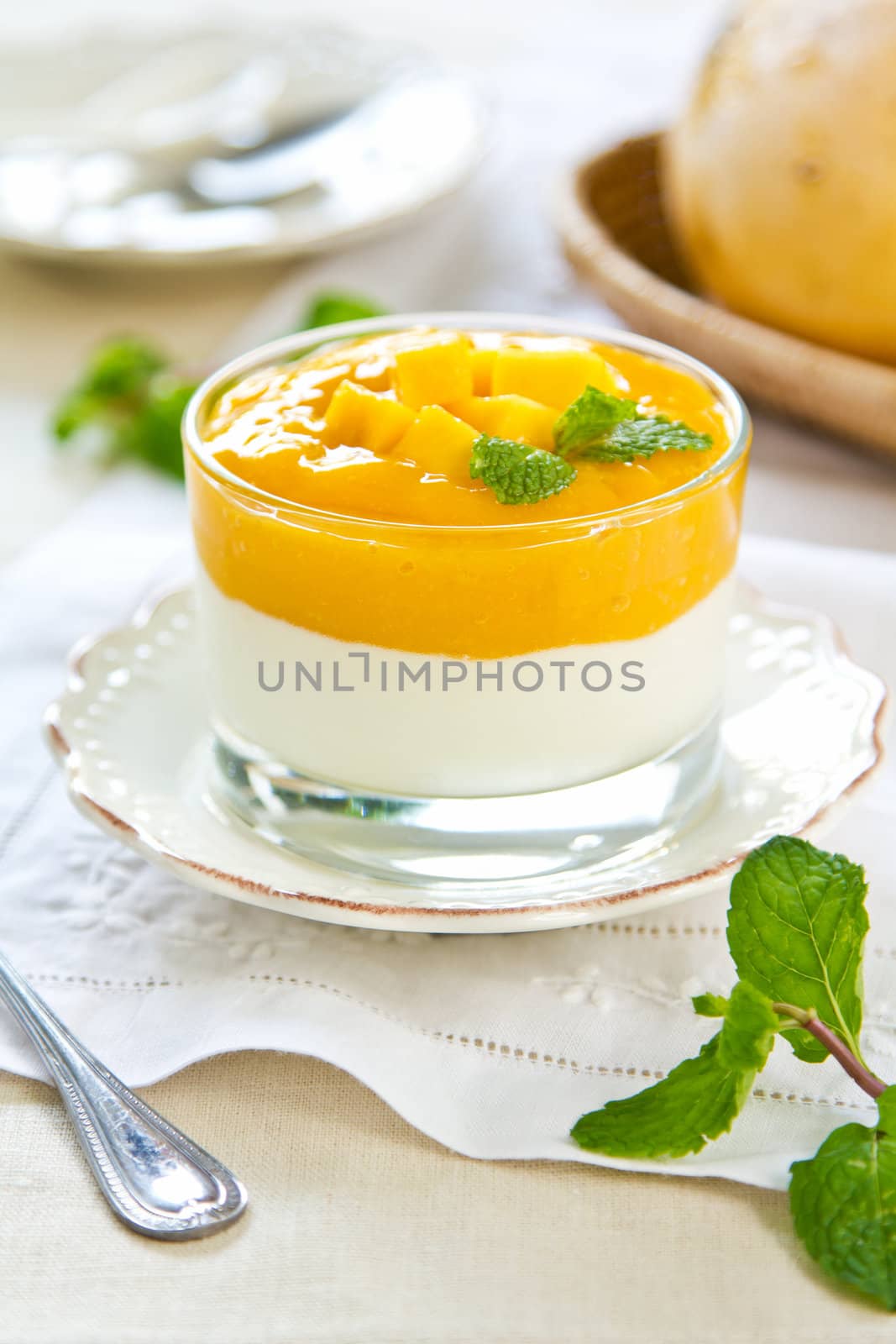 Mango  yogurt by vanillaechoes