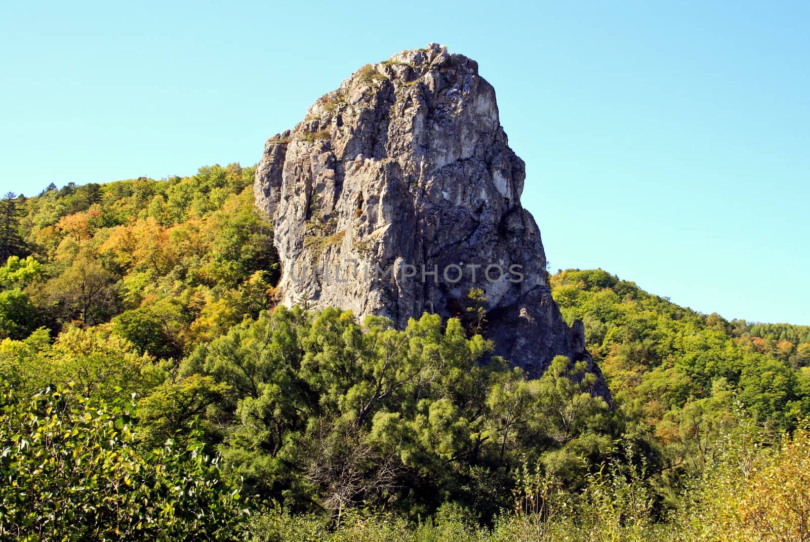 High rock among wood � the rests of an extinct volcano