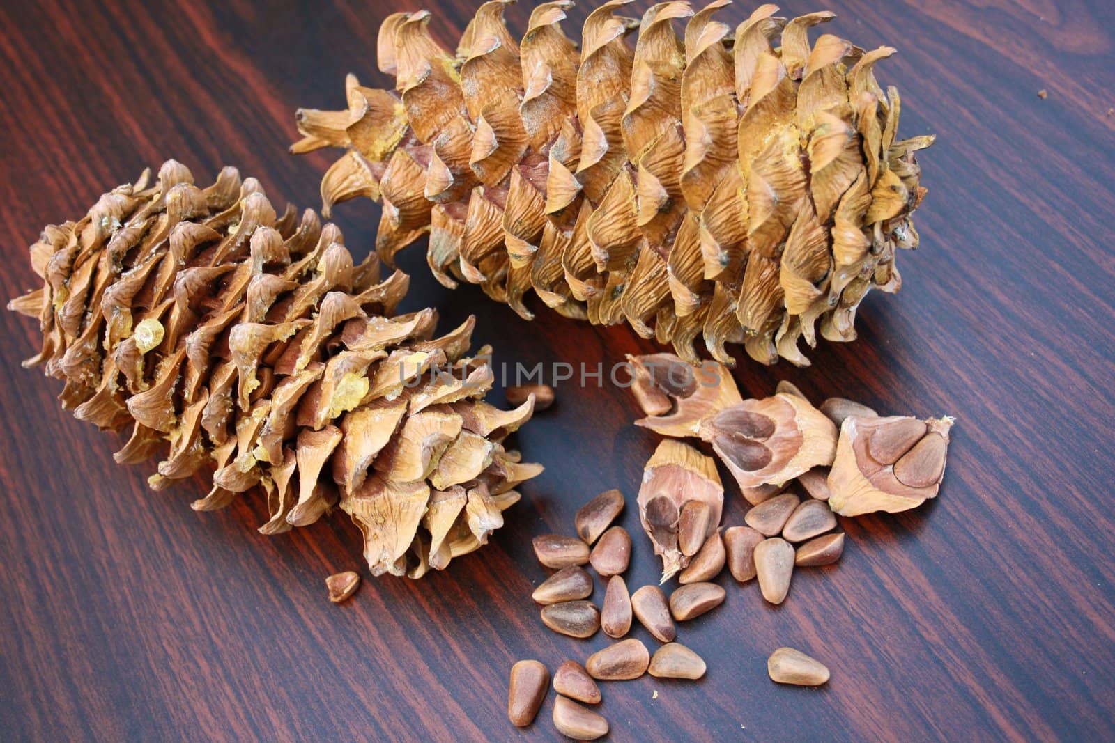 Pine nut from the cedar cone collected in the autumn