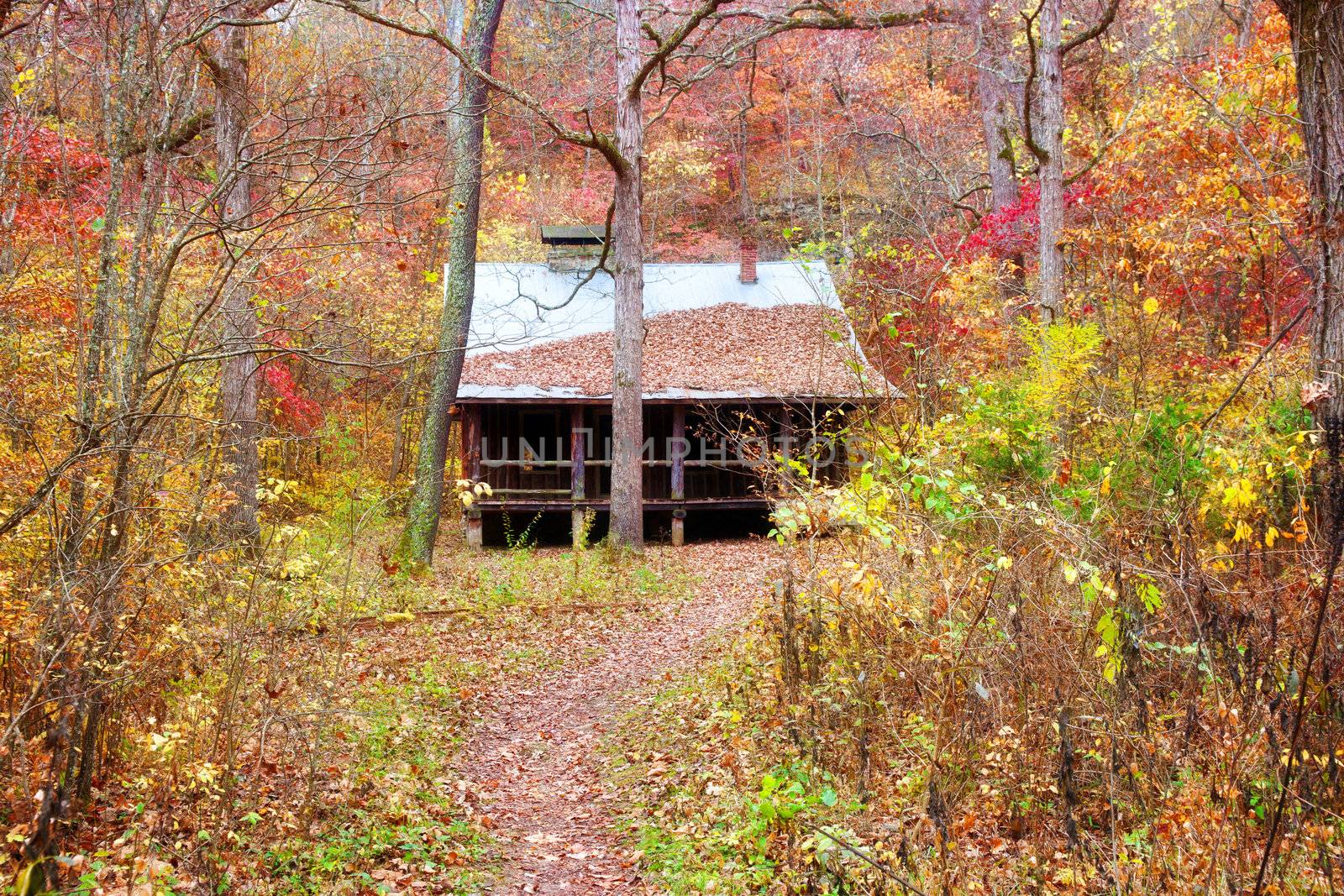 settlers cabin in missouri by clearviewstock