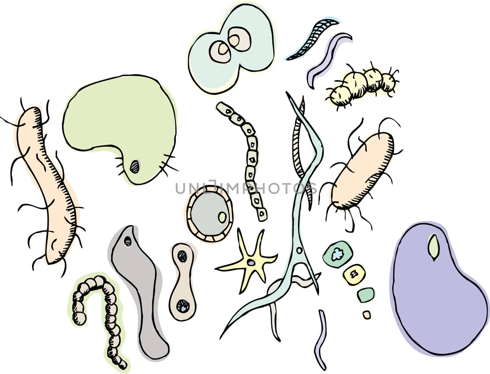 Set of generic bacteria and one celled organisms 