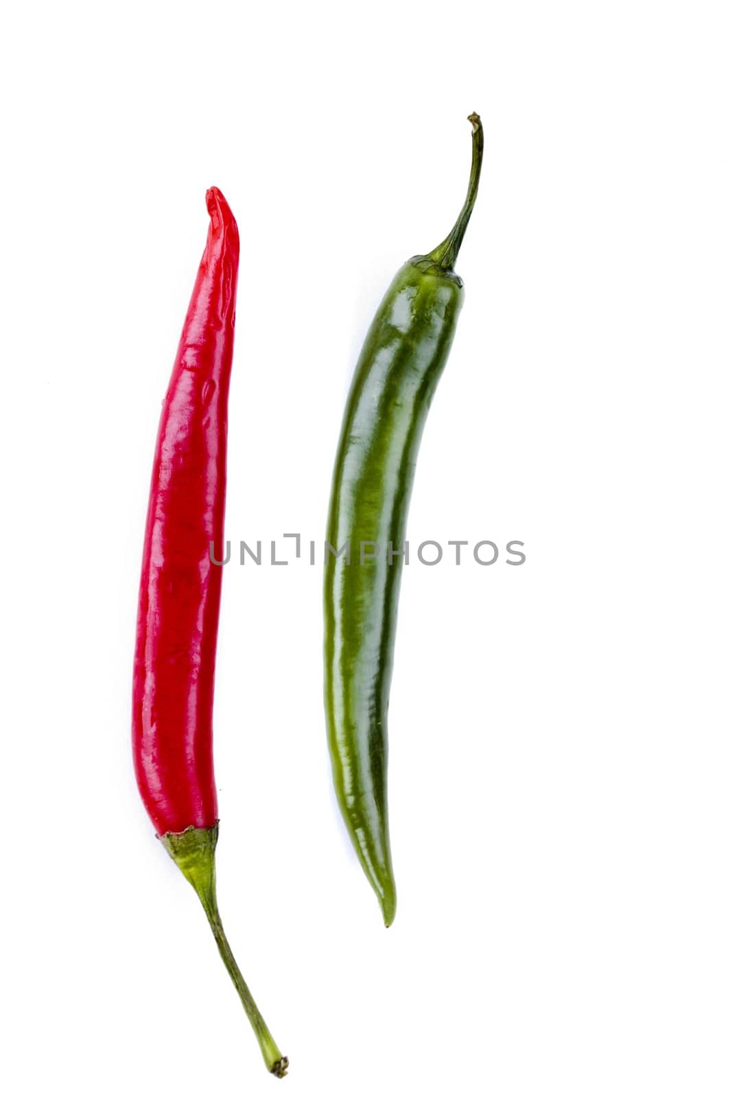 Red and green chili peppers on white background