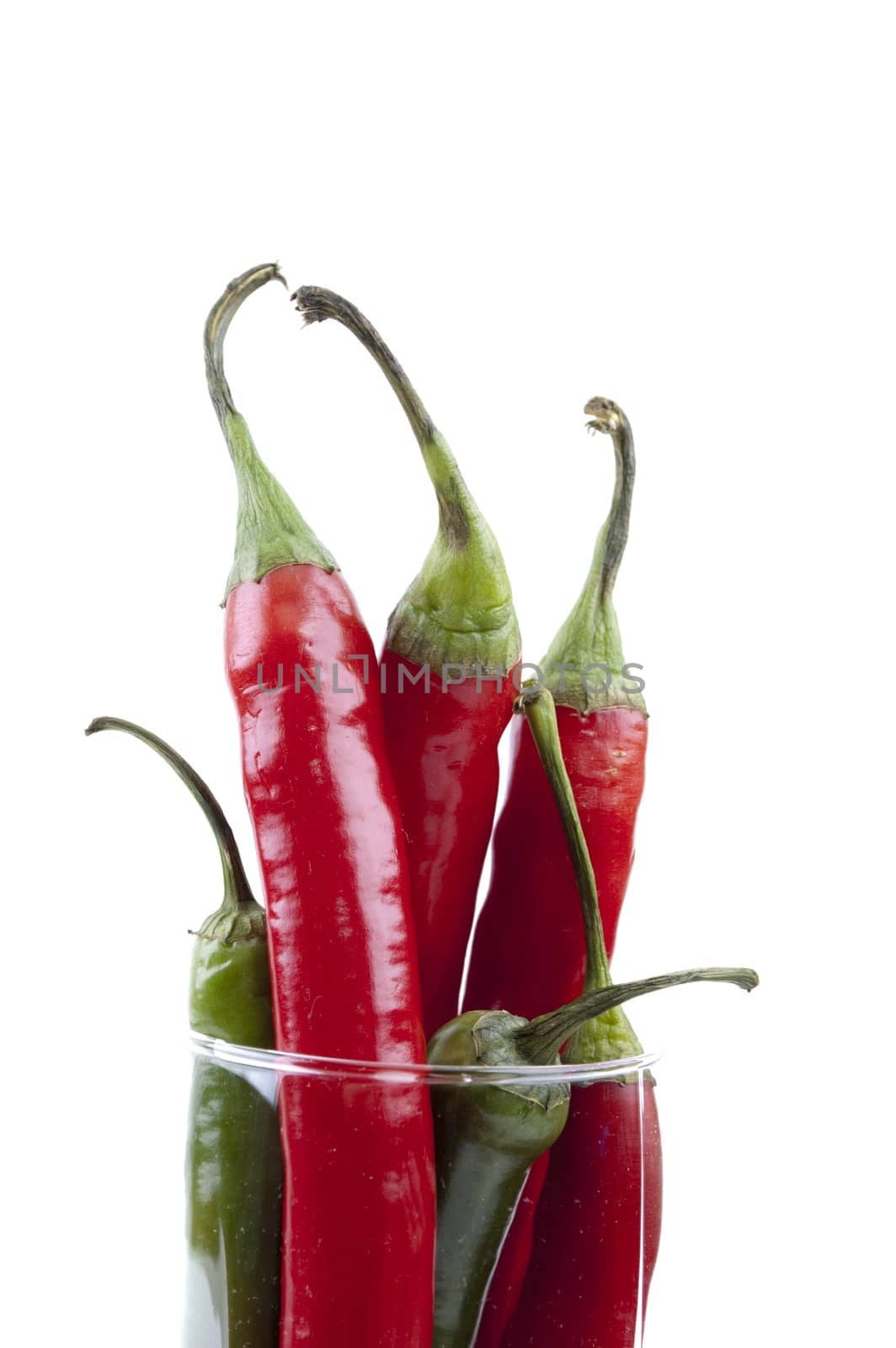 isolated pack of top chili peppers by Triphka