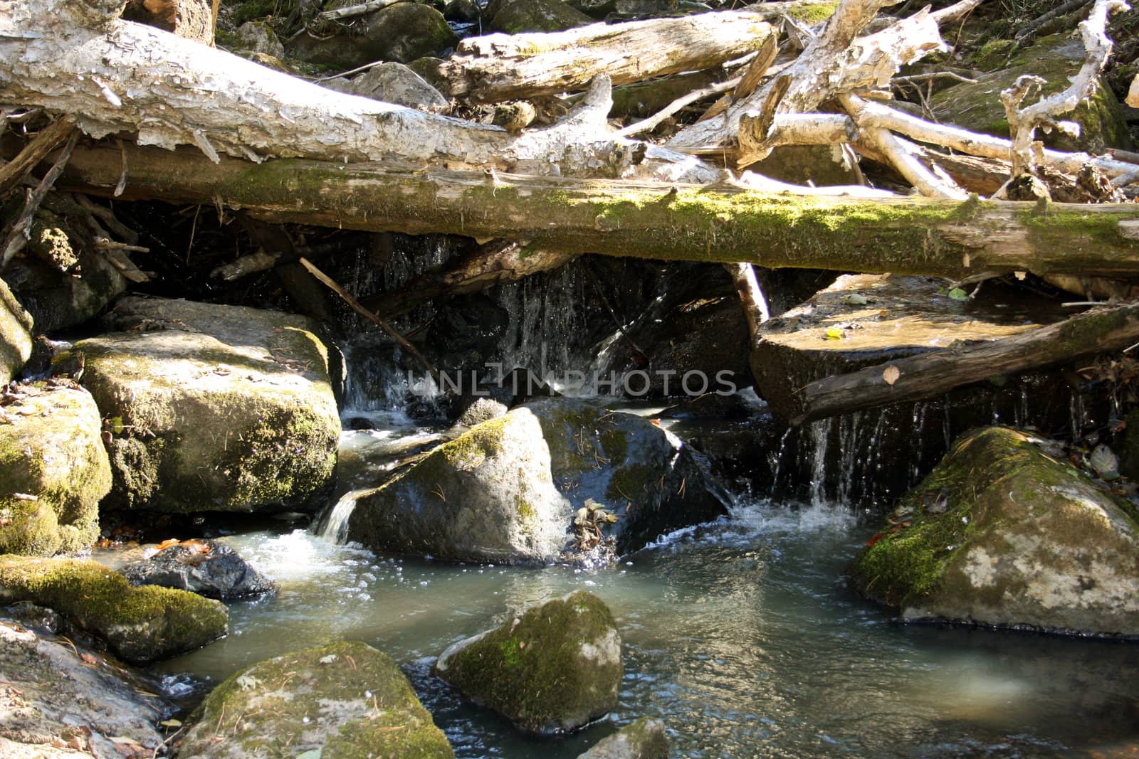 Mountain stream with the big stones