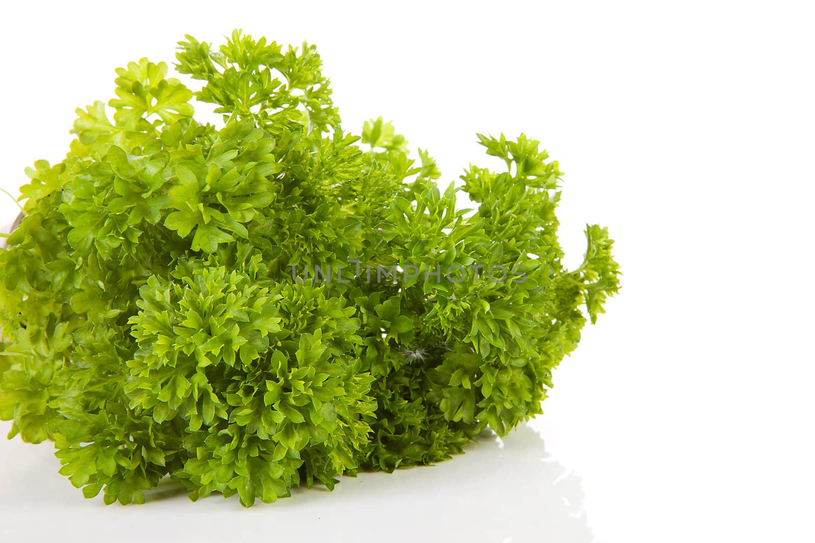 fresh parsley in closeup over white background