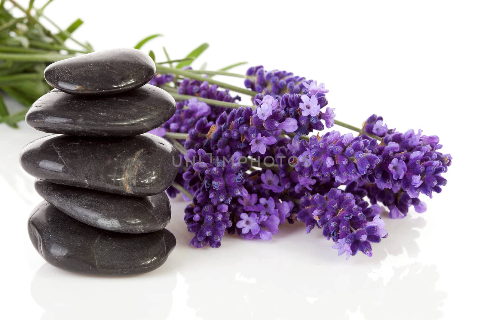 stacked black steping stones and lavender flowers over white background