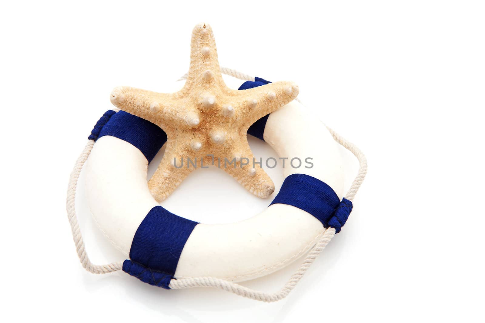 summer gear; starfish and life buoy over white background