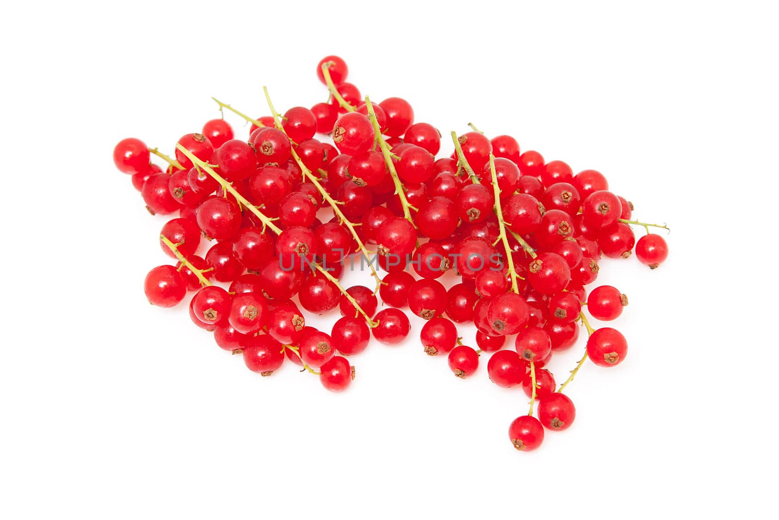 pile berries of red currant in closeup over white background
