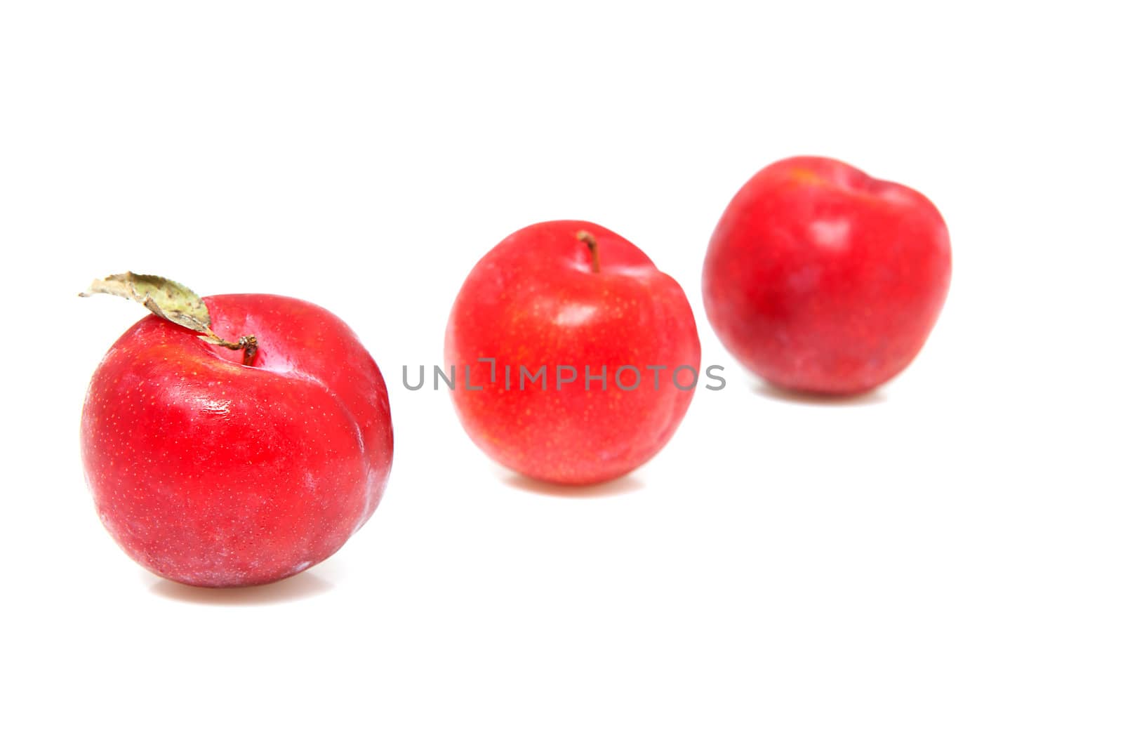Three fresh plums over white background