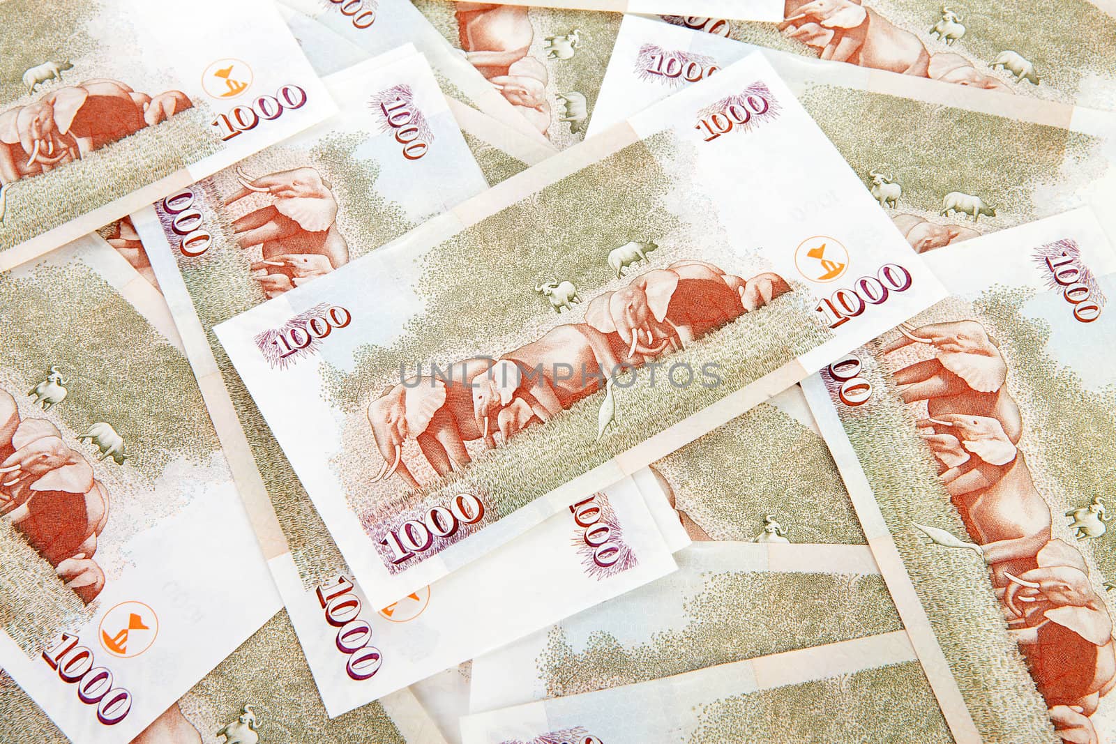 Background of Kenyan currency in closeup