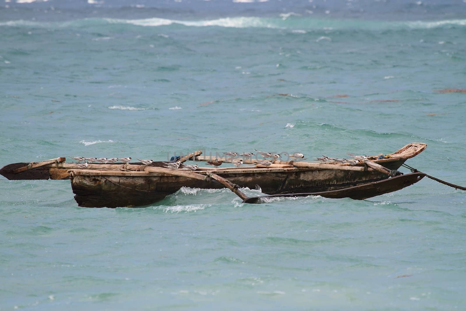 Ocean going canoe with gulls in Indian ocean near Kenya