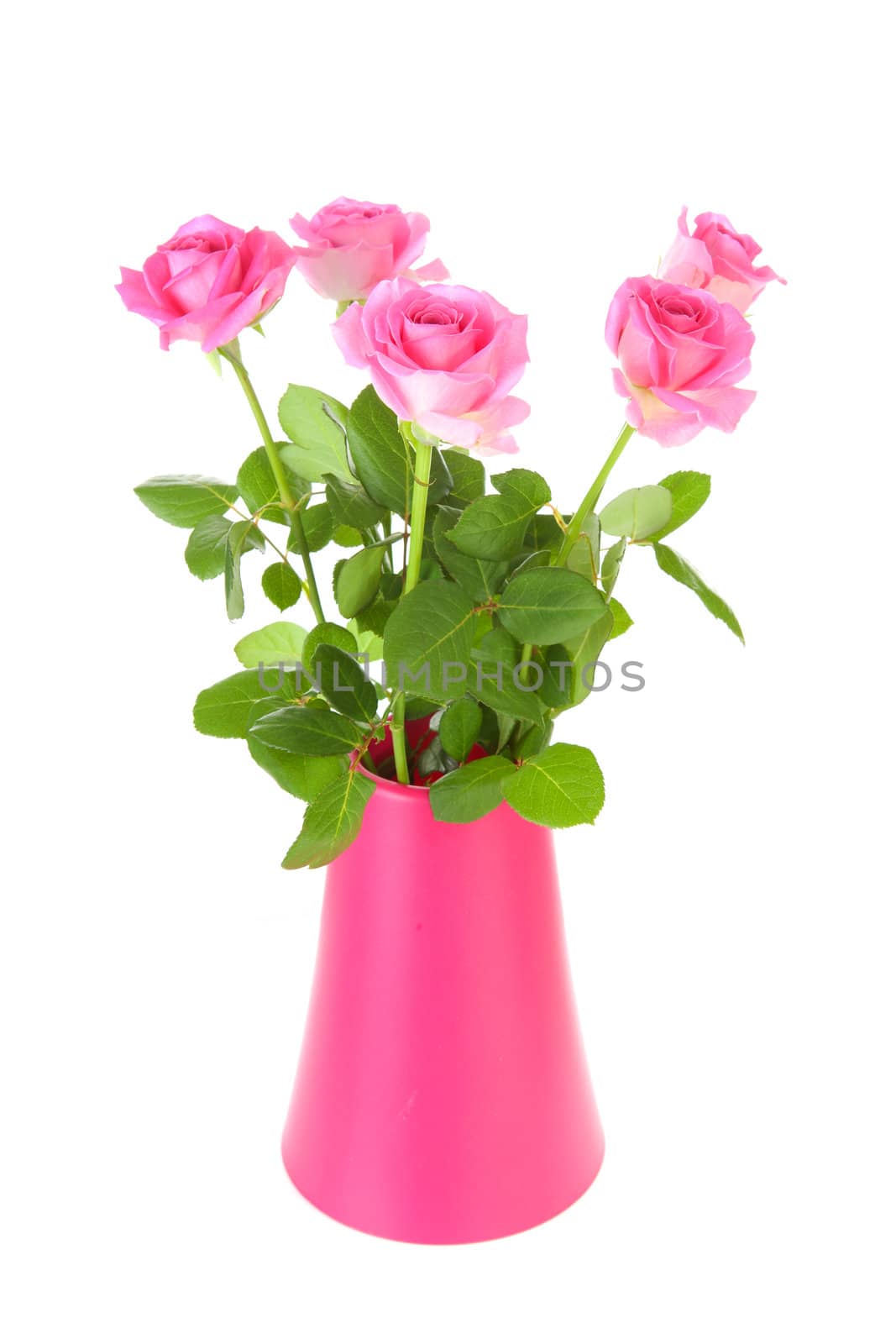 Bouquet of pink roses in vase by sannie32