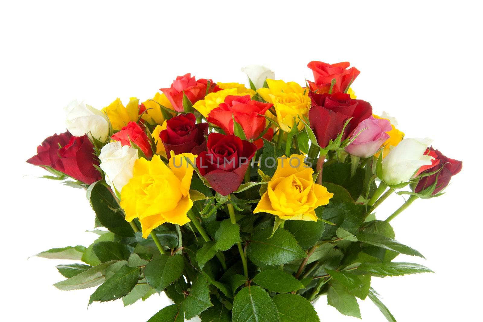 Bouquet of colorful roses over white background