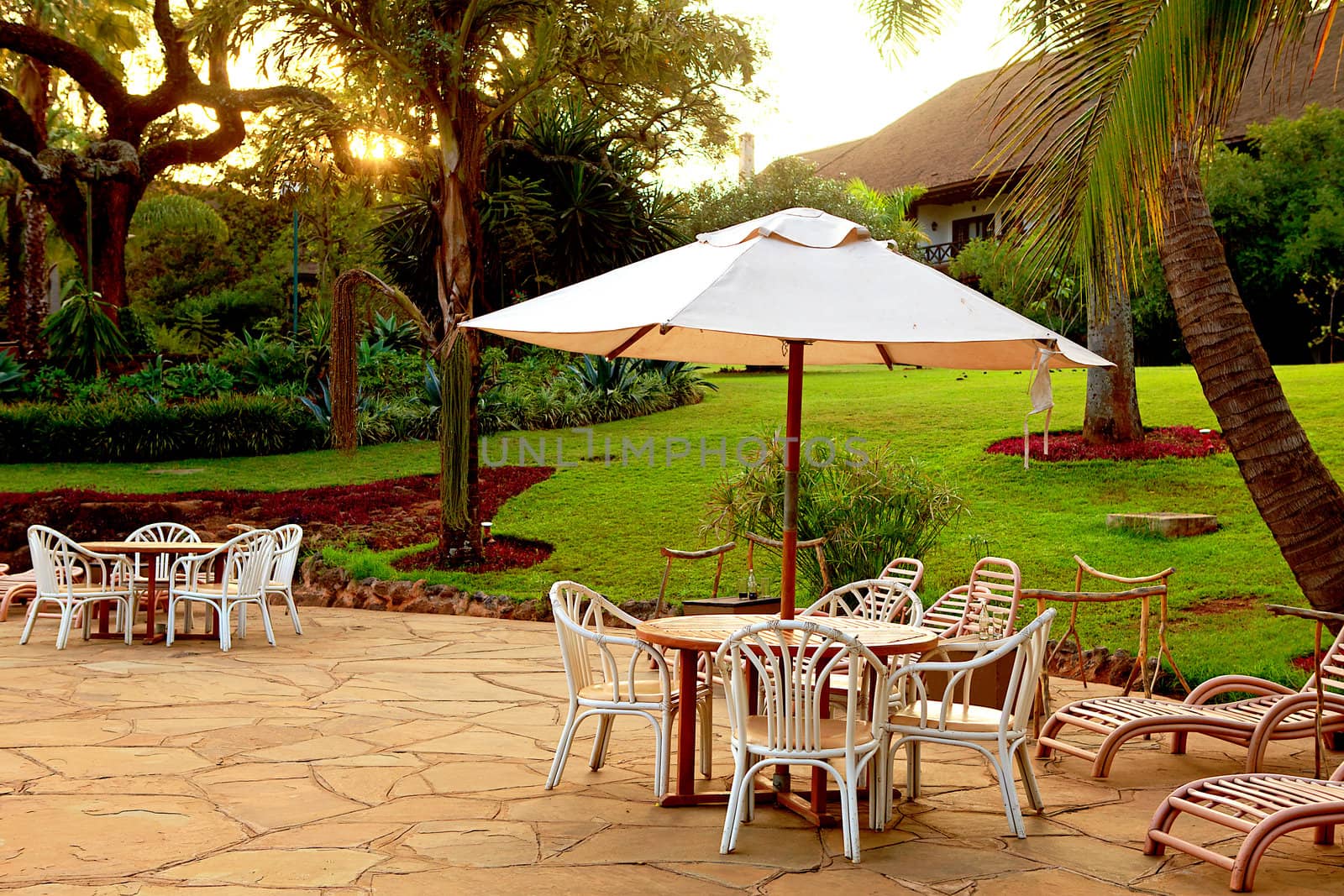 Chairs at tropical garden in evening